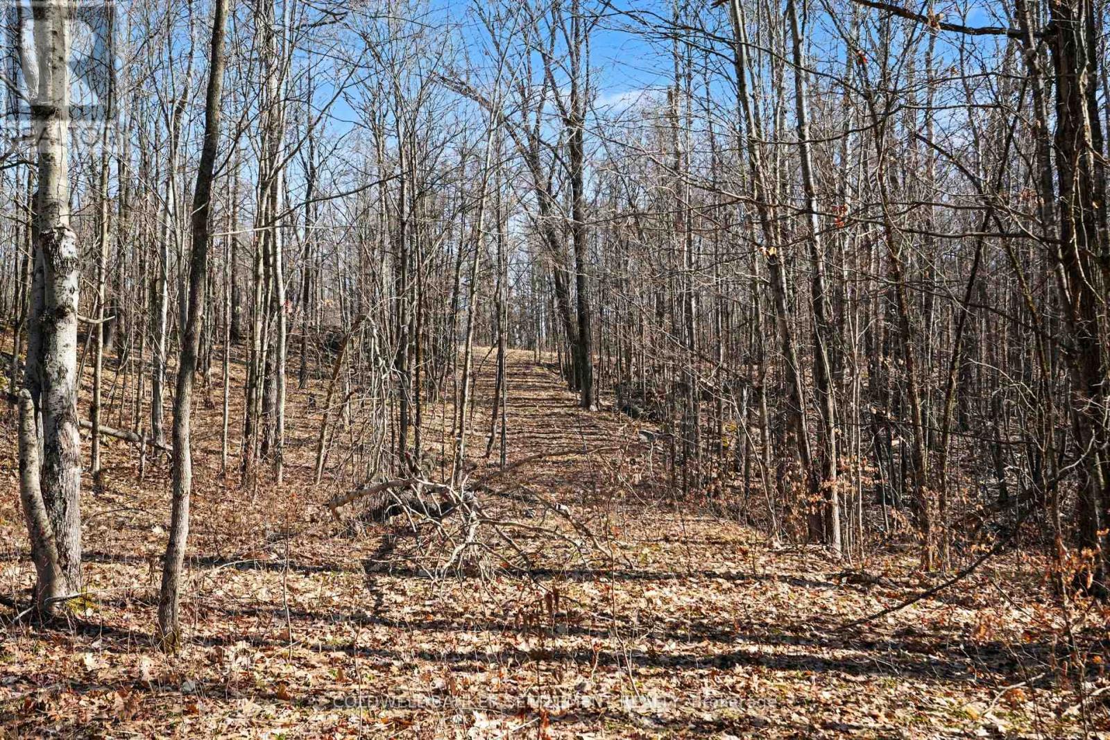 0 Red Pine Road, Tay Valley, Ontario  K0H 2B0 - Photo 21 - X12942490