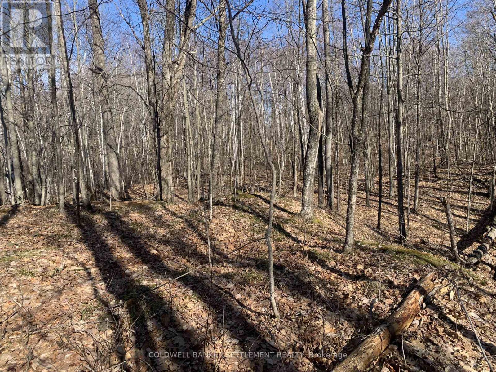 0 Red Pine Road, Tay Valley, Ontario  K0H 2B0 - Photo 5 - X12942490