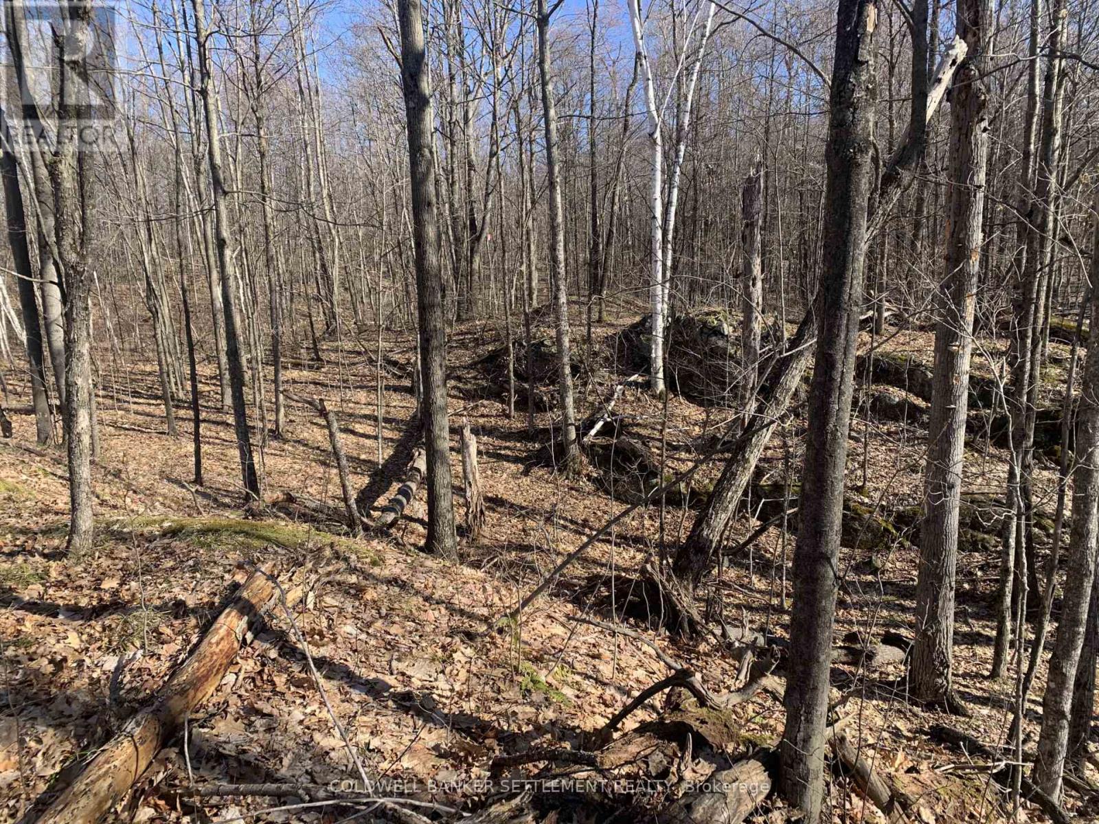 0 Red Pine Road, Tay Valley, Ontario  K0H 2B0 - Photo 6 - X12942490