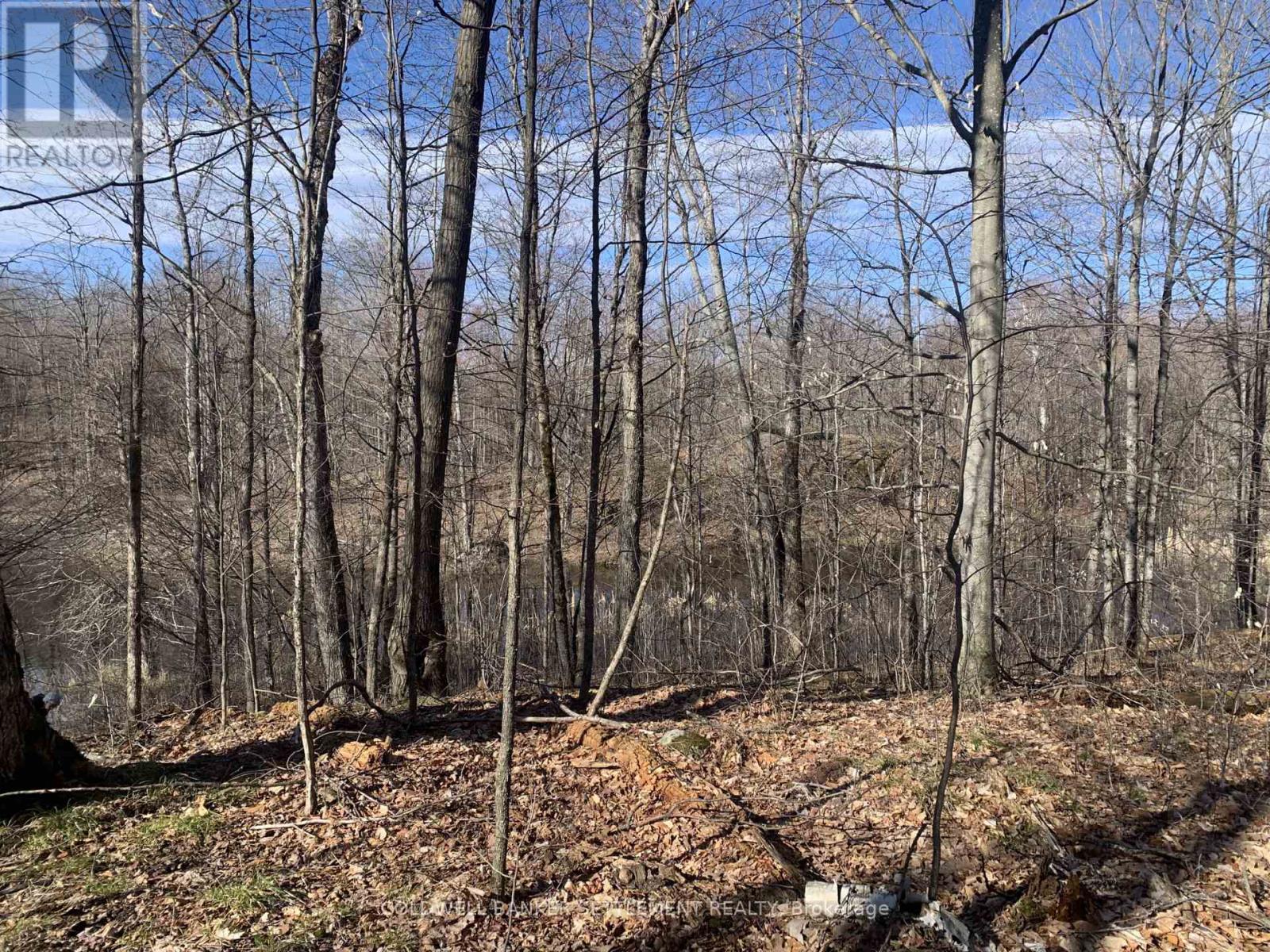 0 Red Pine Road, Tay Valley, Ontario  K0H 2B0 - Photo 8 - X12942490