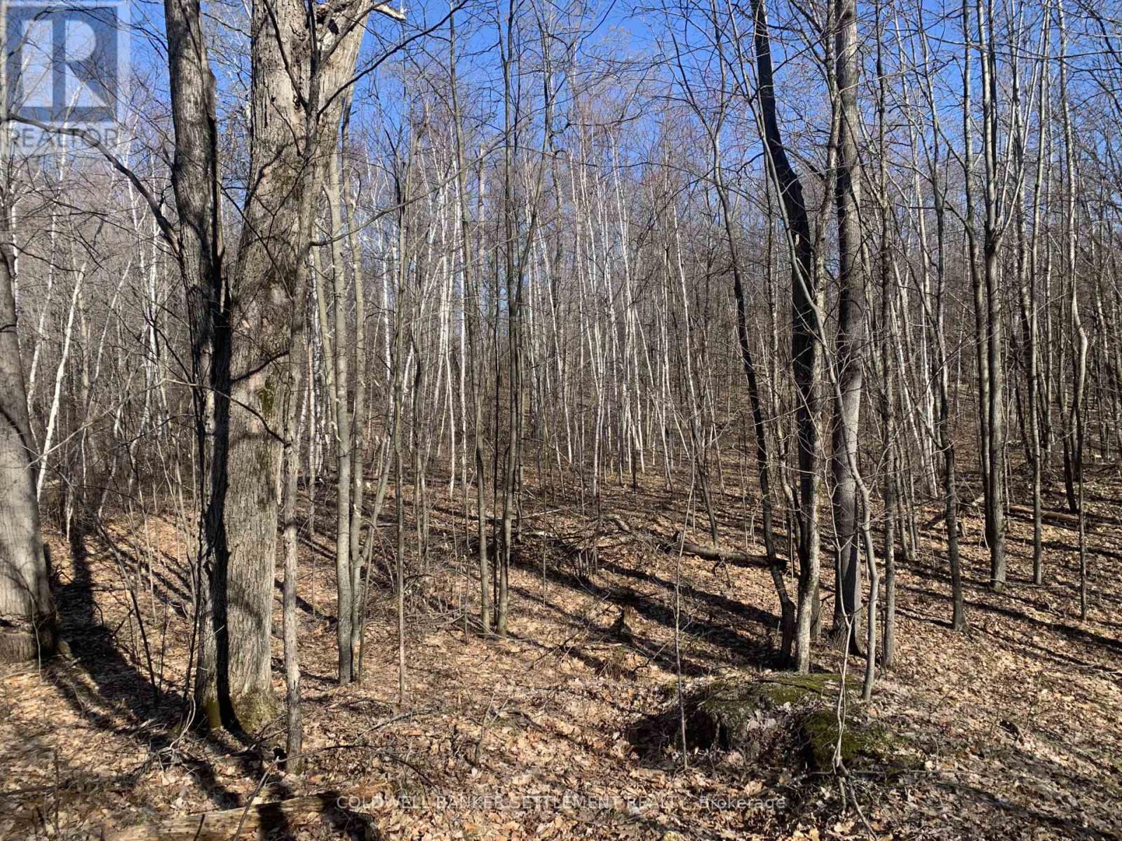 0 Red Pine Road, Tay Valley, Ontario  K0H 2B0 - Photo 7 - X12942490