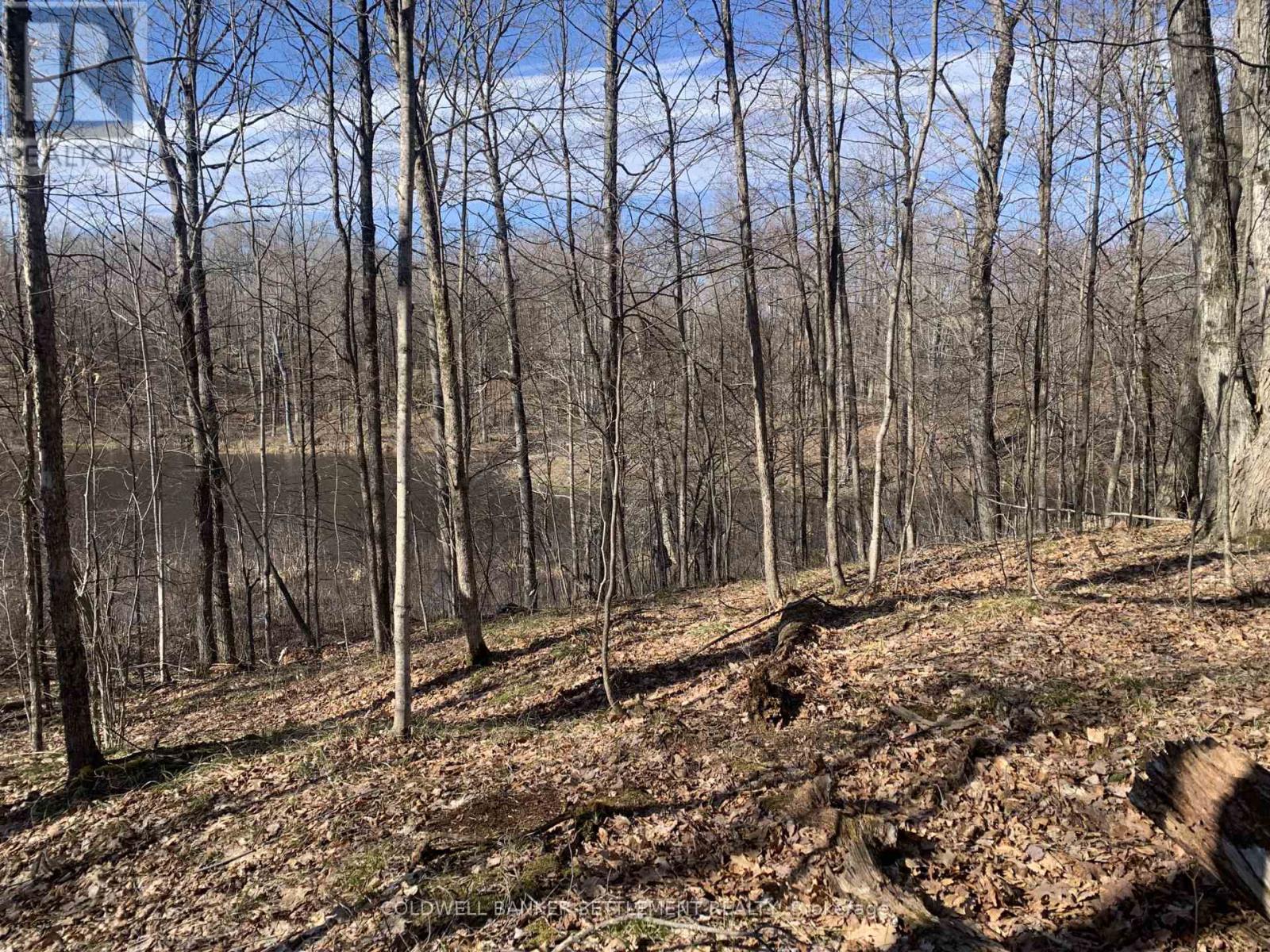 0 Red Pine Road, Tay Valley, Ontario  K0H 2B0 - Photo 3 - X12942490