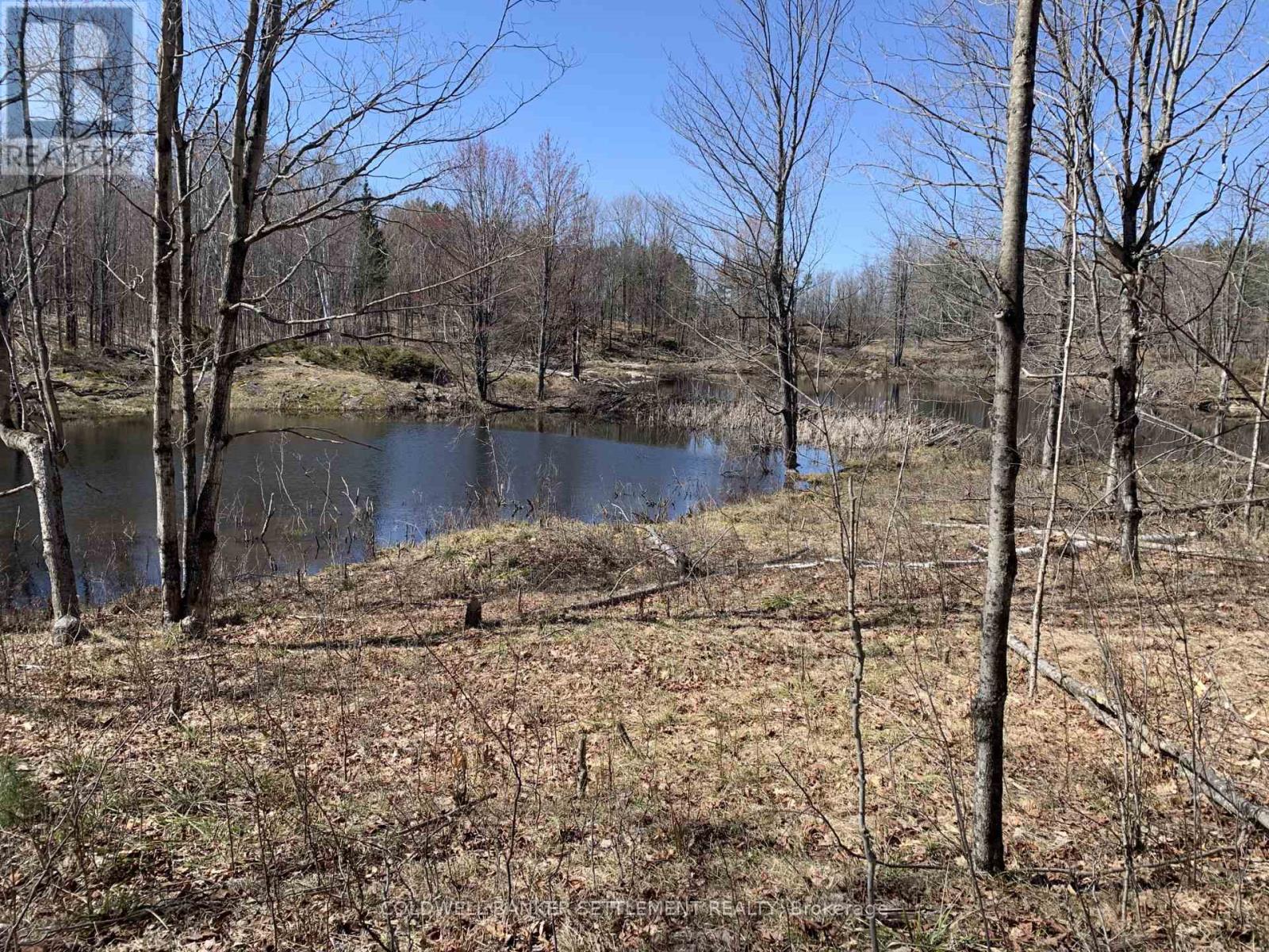 0 Red Pine Road, Tay Valley, Ontario  K0H 2B0 - Photo 9 - X12942490