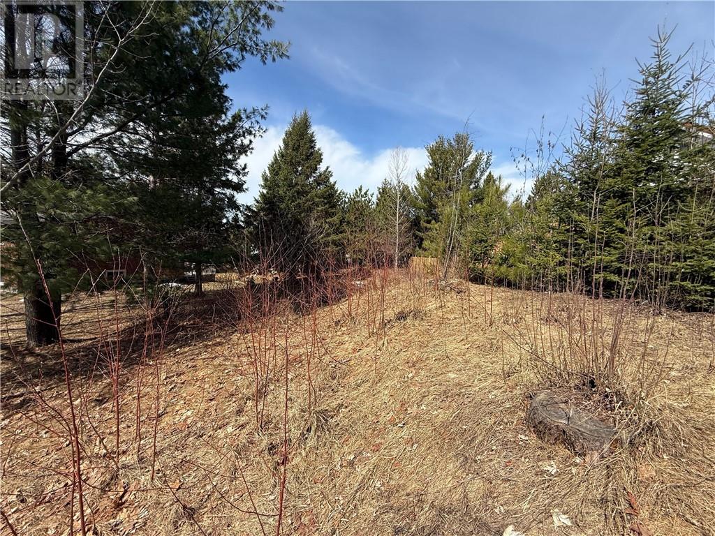 0 Simon Lake Drive, Naughton, Ontario  P0M 2M0 - Photo 10 - 2126014