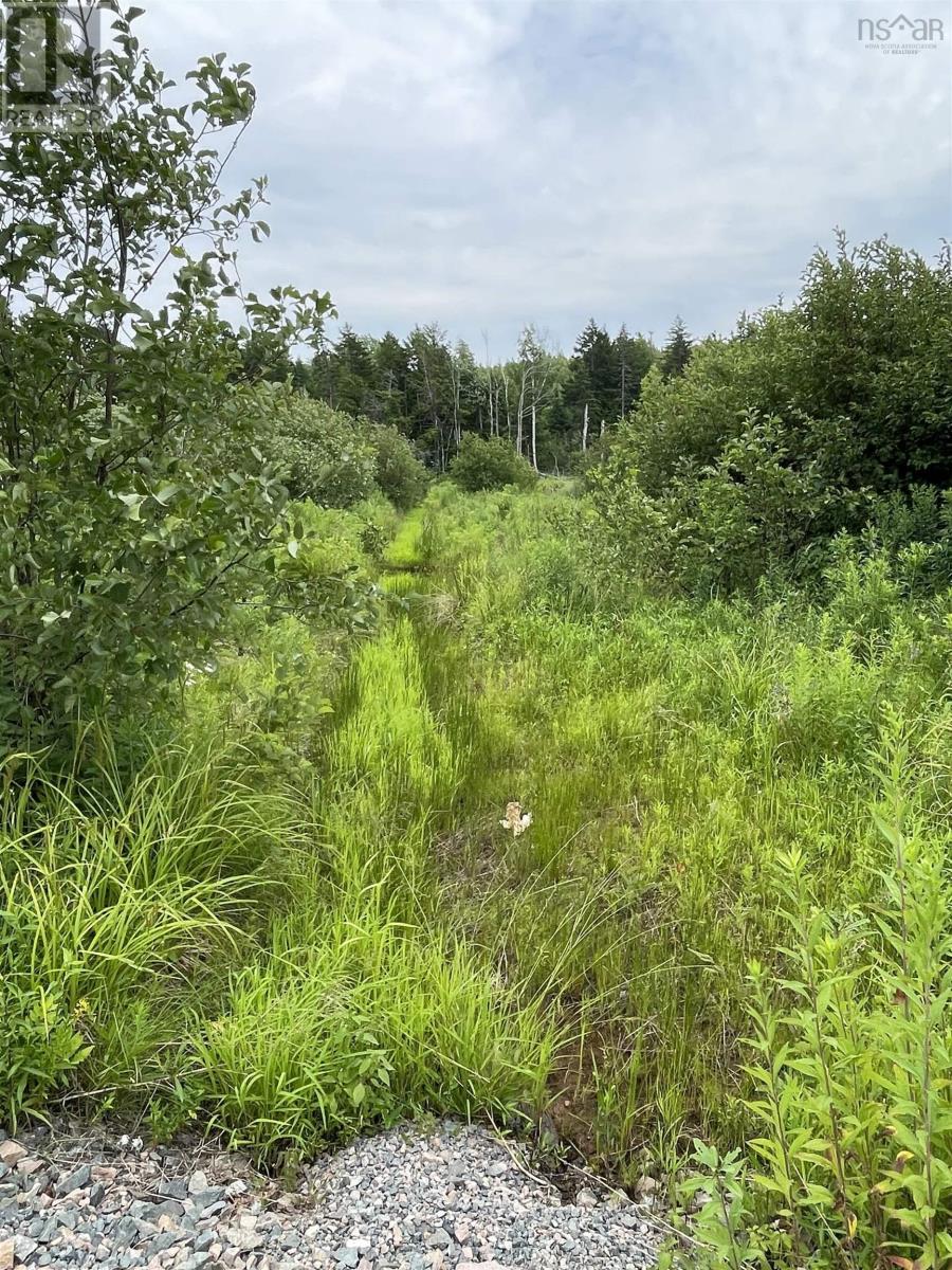 3316 Thomson Road, Hansford, Nova Scotia  B0M 1P0 - Photo 10 - 202608724