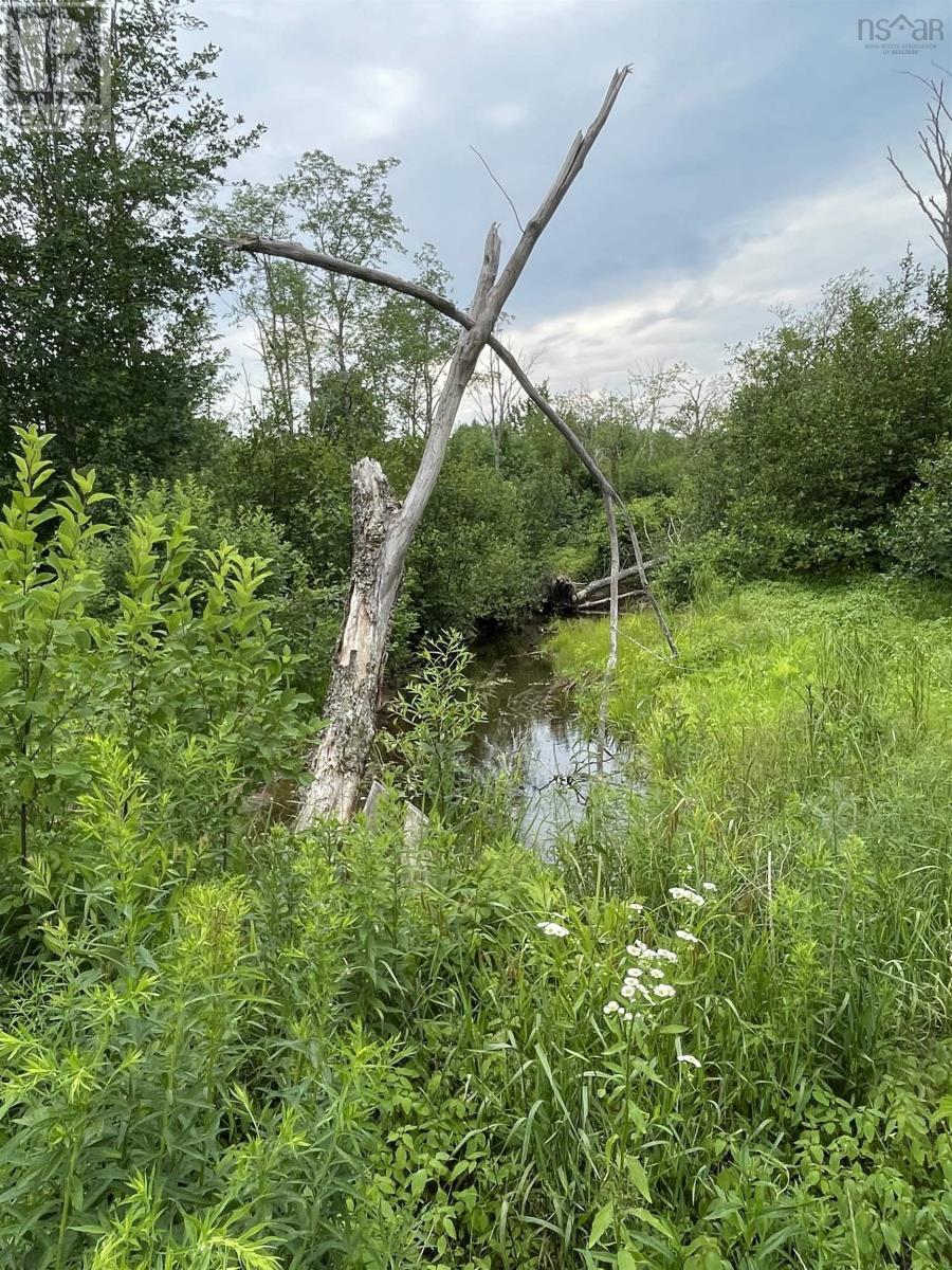 3316 Thomson Road, Hansford, Nova Scotia  B0M 1P0 - Photo 4 - 202608724