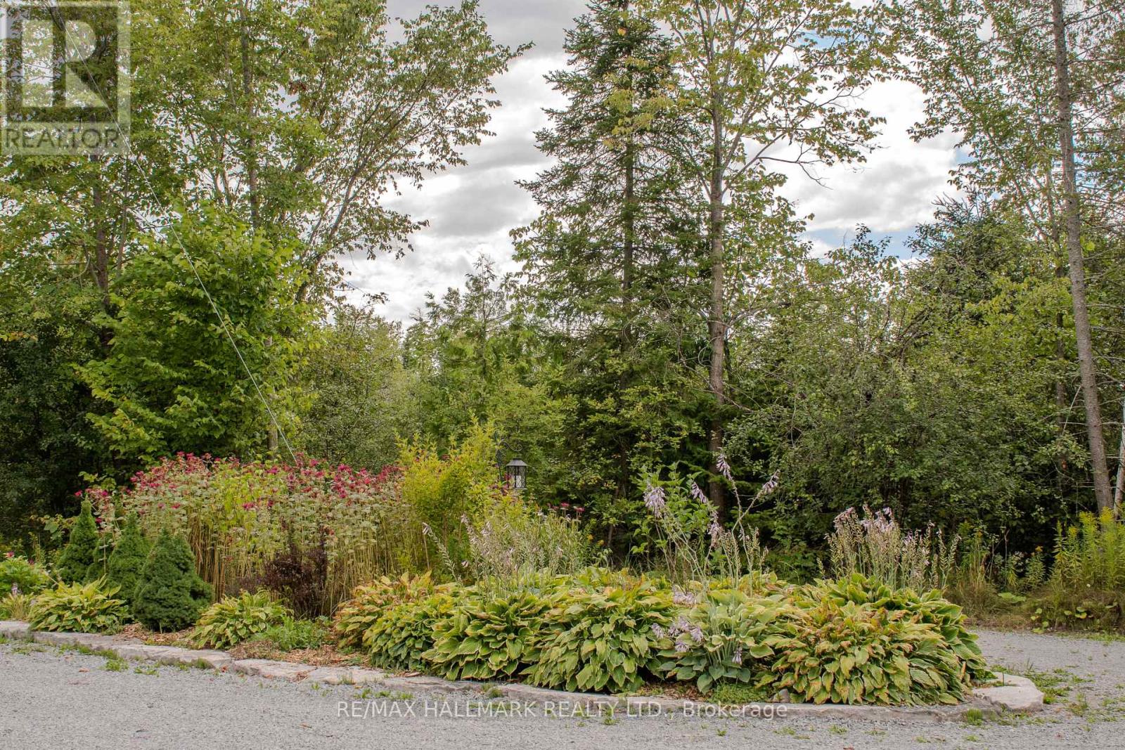 175 Concession 2 Road, Brock, Ontario  L0C 1H0 - Photo 44 - N13048176