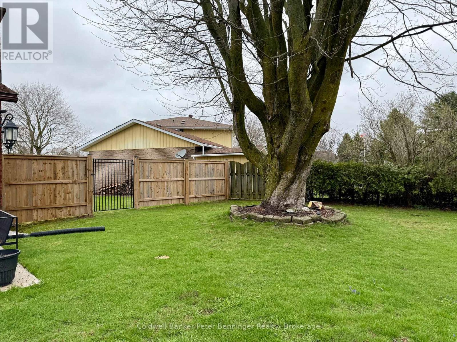 33 Tower Road, Arran-Elderslie, Ontario  N0G 1L0 - Photo 44 - X12765952