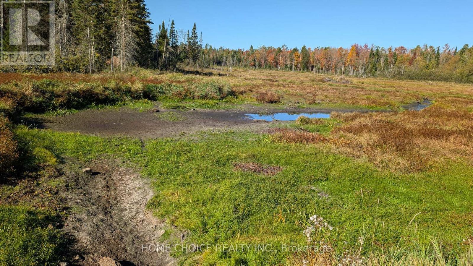 1172 Barkway Road, Gravenhurst, Ontario  P1P 1R3 - Photo 10 - X13048290
