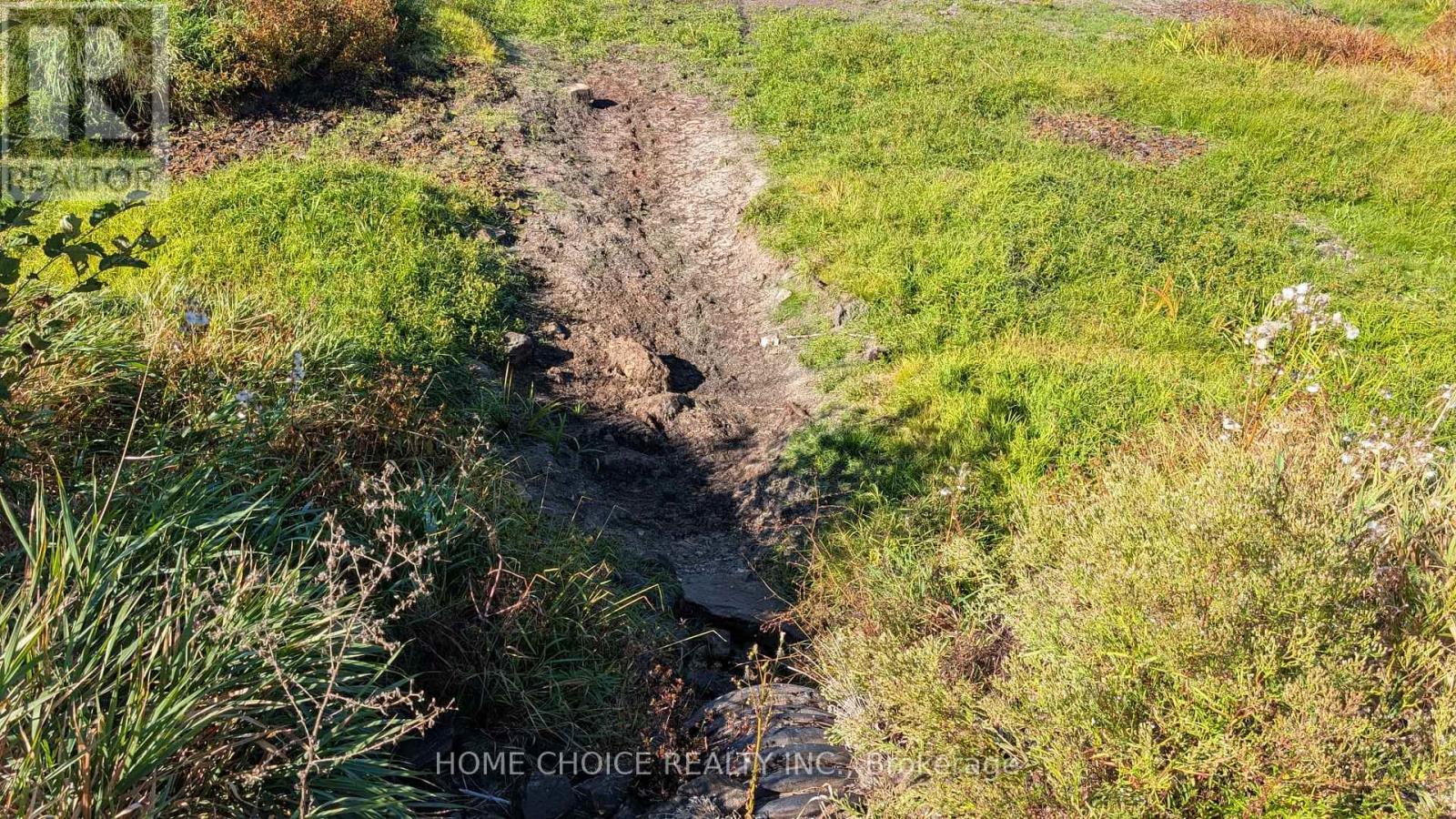 1172 Barkway Road, Gravenhurst, Ontario  P1P 1R3 - Photo 11 - X13048290