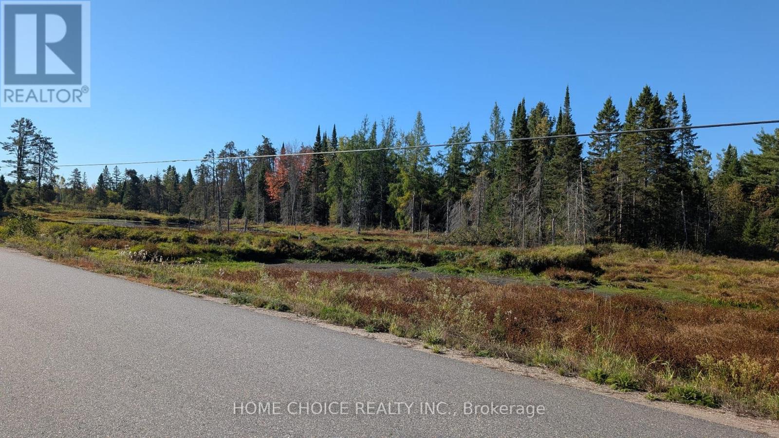 1172 Barkway Road, Gravenhurst, Ontario  P1P 1R3 - Photo 4 - X13048290