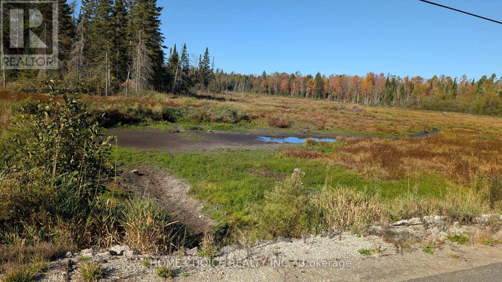 1172 Barkway Road, Gravenhurst, Ontario  P1P 1R3 - Photo 5 - X13048290