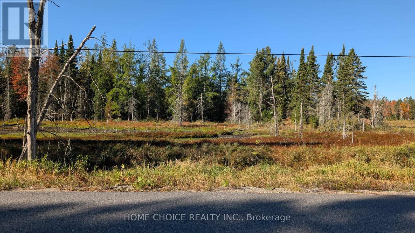 1172 Barkway Road, Gravenhurst, Ontario  P1P 1R3 - Photo 6 - X13048290