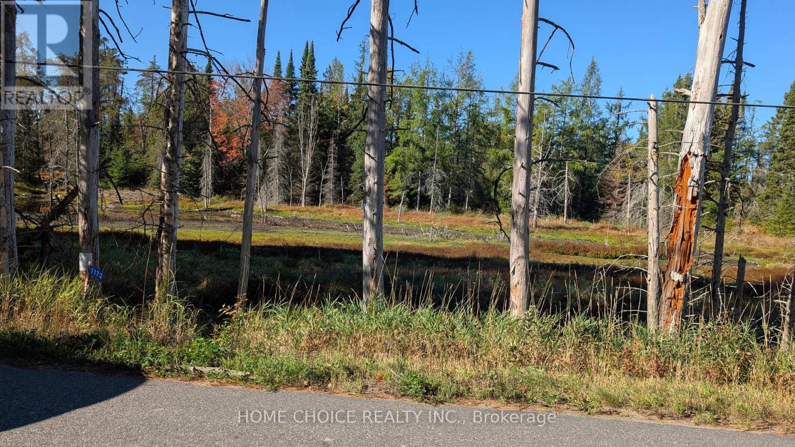 1172 Barkway Road, Gravenhurst, Ontario  P1P 1R3 - Photo 7 - X13048290