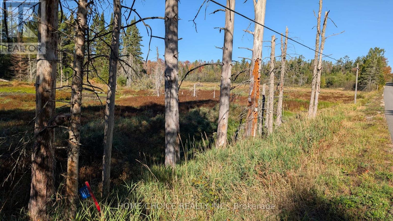 1172 Barkway Road, Gravenhurst, Ontario  P1P 1R3 - Photo 8 - X13048290