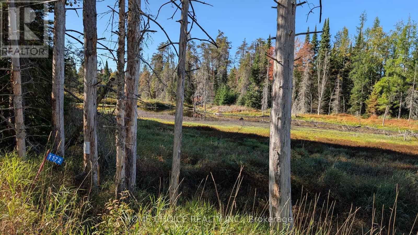 1172 Barkway Road, Gravenhurst, Ontario  P1P 1R3 - Photo 9 - X13048290