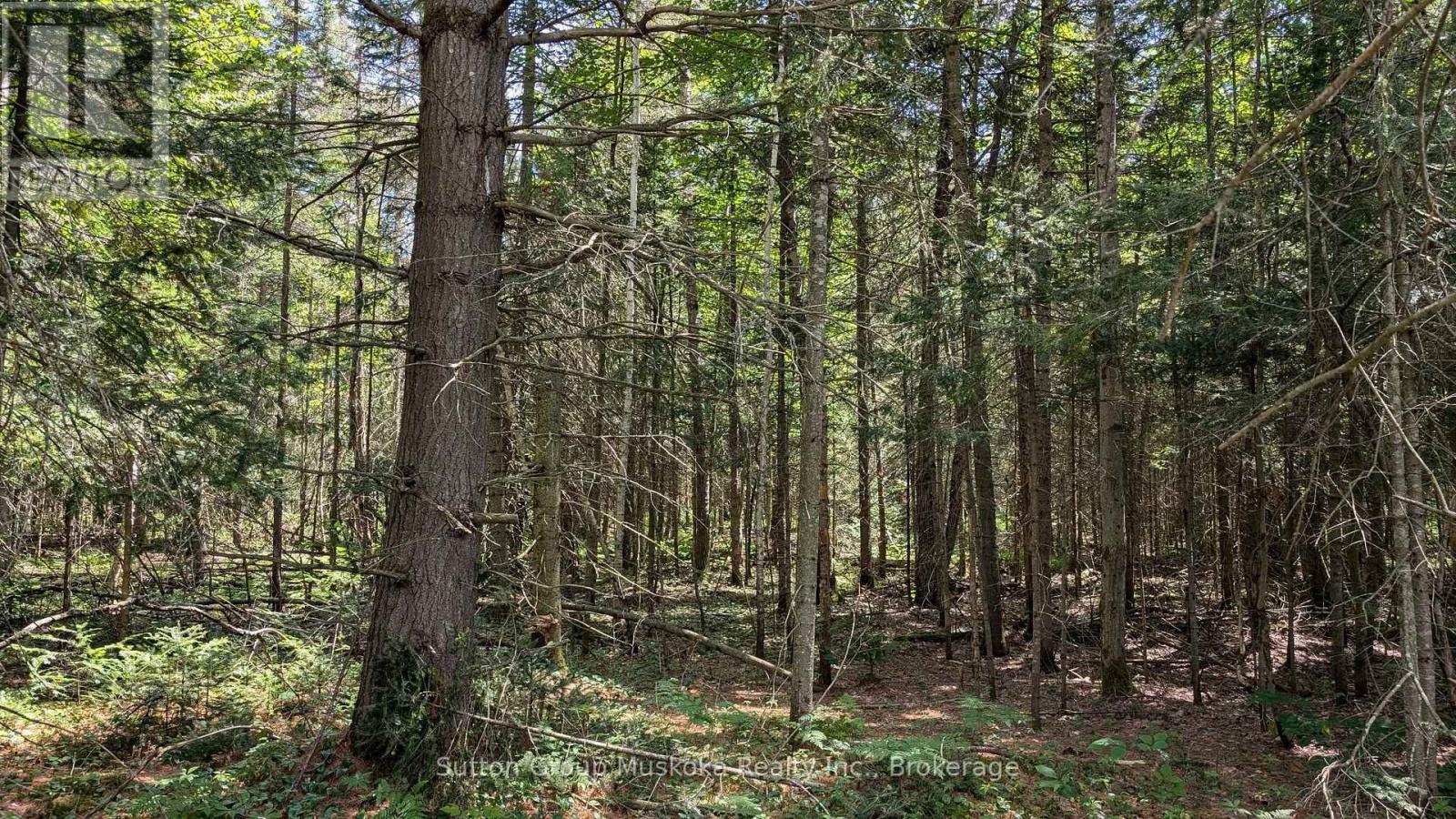 Part 2 Berriedale Road, Armour, Ontario  P0A 1C0 - Photo 3 - X13048572