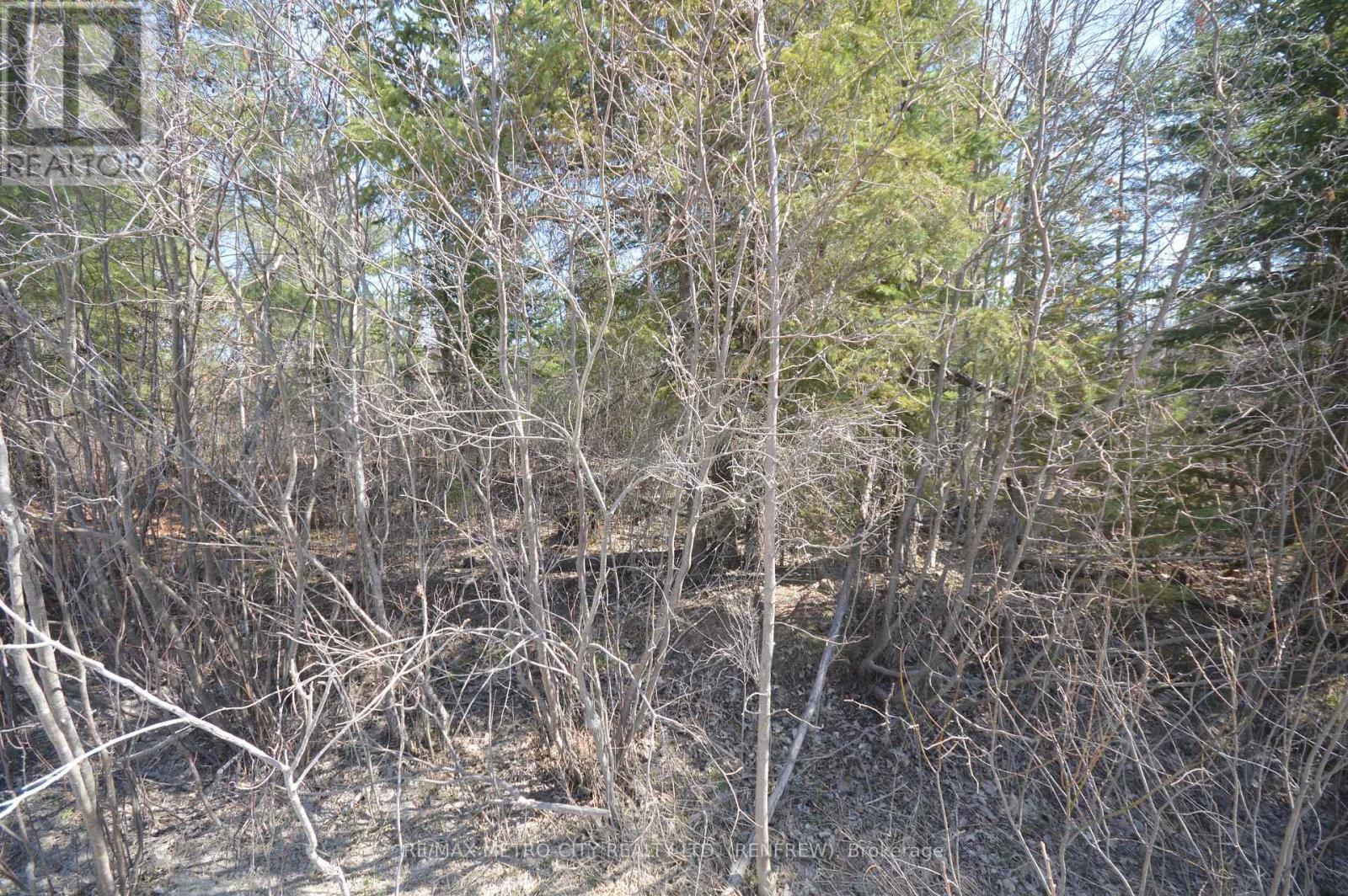 00 Behm Line, Whitewater Region, Ontario  K0J 1K0 - Photo 2 - X13048404