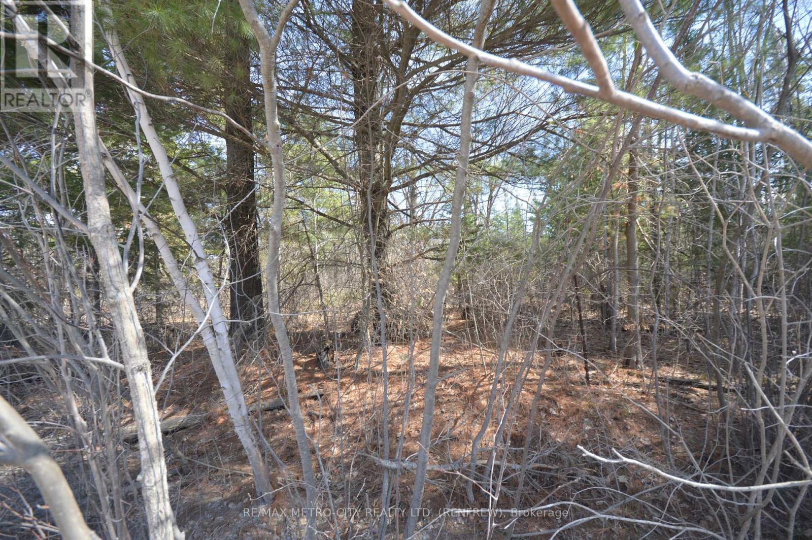 00 Behm Line, Whitewater Region, Ontario  K0J 1K0 - Photo 3 - X13048404