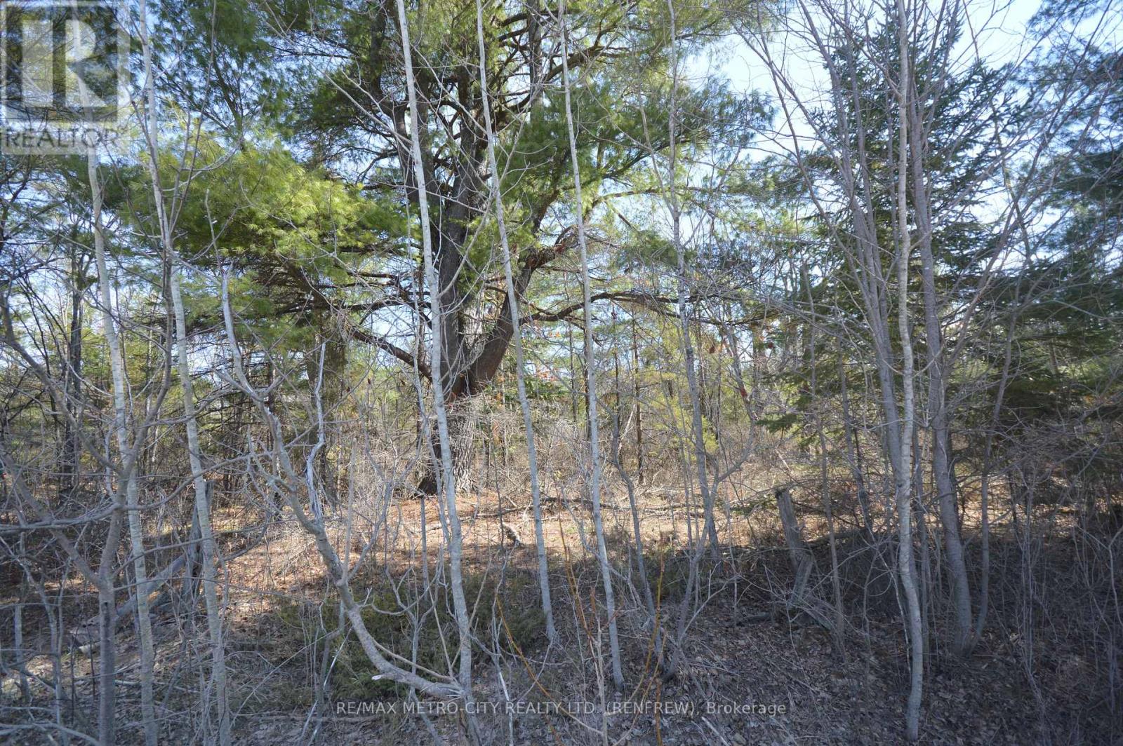 00 Behm Line, Whitewater Region, Ontario  K0J 1K0 - Photo 4 - X13048404