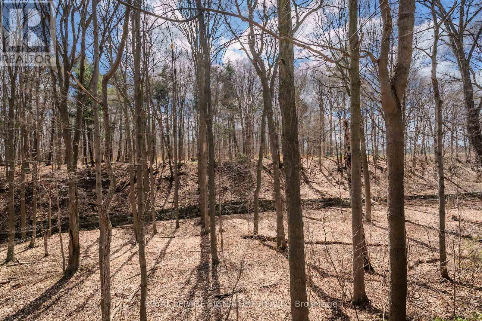 44 Harrington Crescent, Toronto, Ontario  M2M 2Y5 - Photo 42 - C13048554