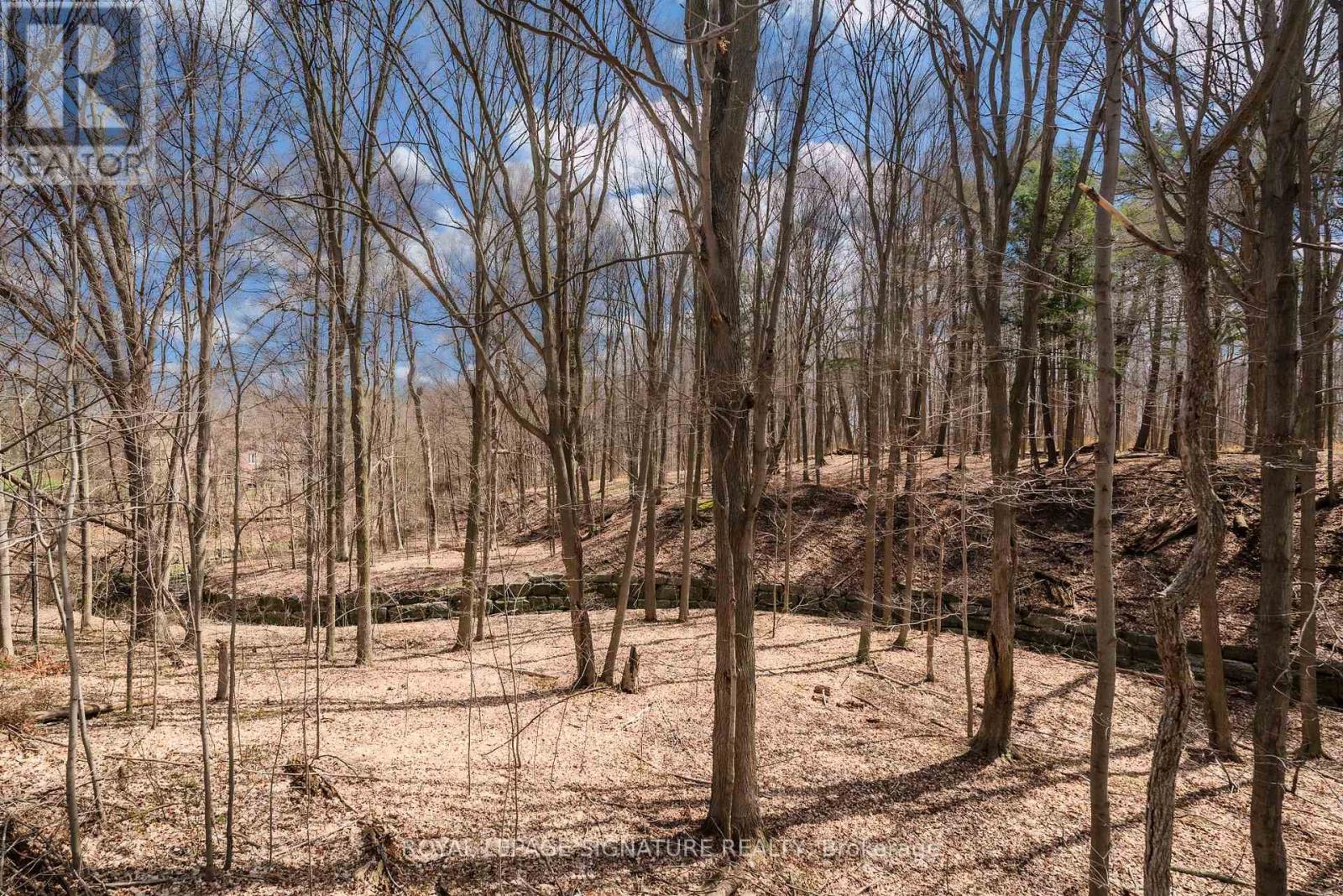 44 Harrington Crescent, Toronto, Ontario  M2M 2Y5 - Photo 43 - C13048554