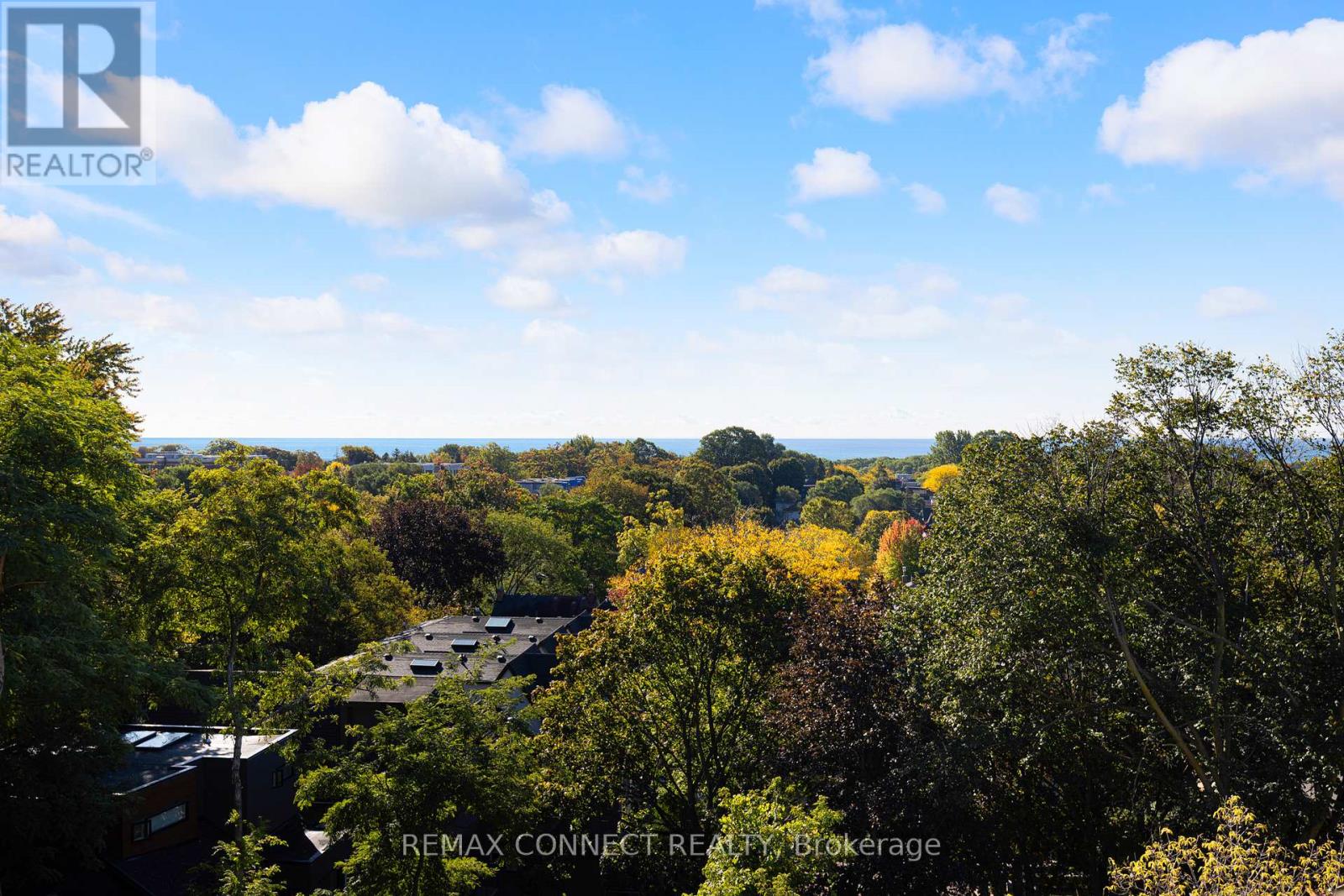 4 - 517 Kingston Road, Toronto, Ontario  M4L 1V5 - Photo 39 - E13048560