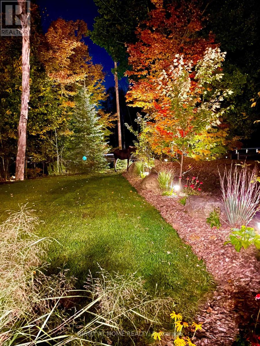 12028 Highway 118 Highway, Dysart Et Al, Ontario  K0M 1S0 - Photo 2 - X12422903