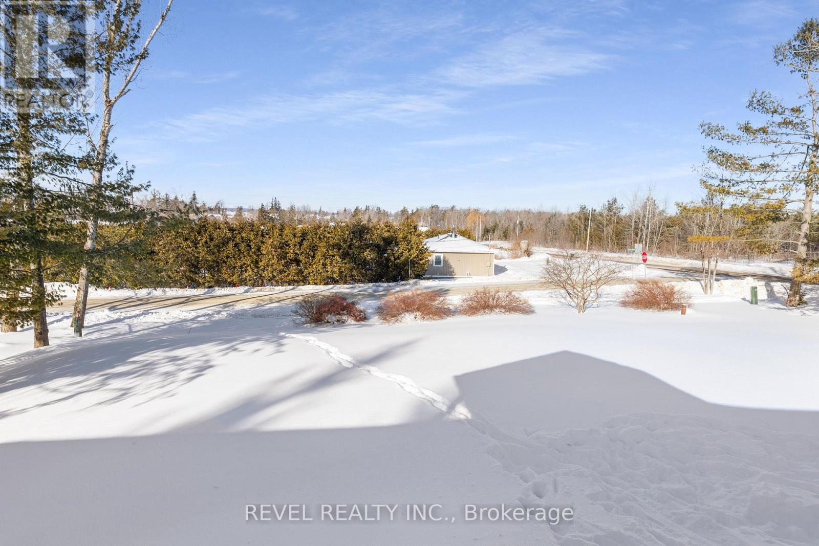 213 Pleasant Point Road, Kawartha Lakes, Ontario  K9V 4R6 - Photo 43 - X12756384