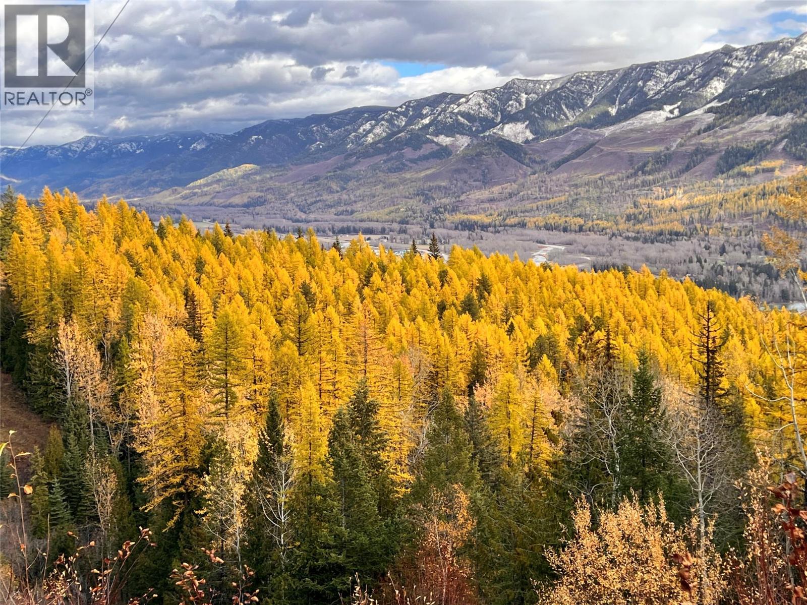 126 Burma Road, Fernie, British Columbia  V0B 1M0 - Photo 6 - 10355186