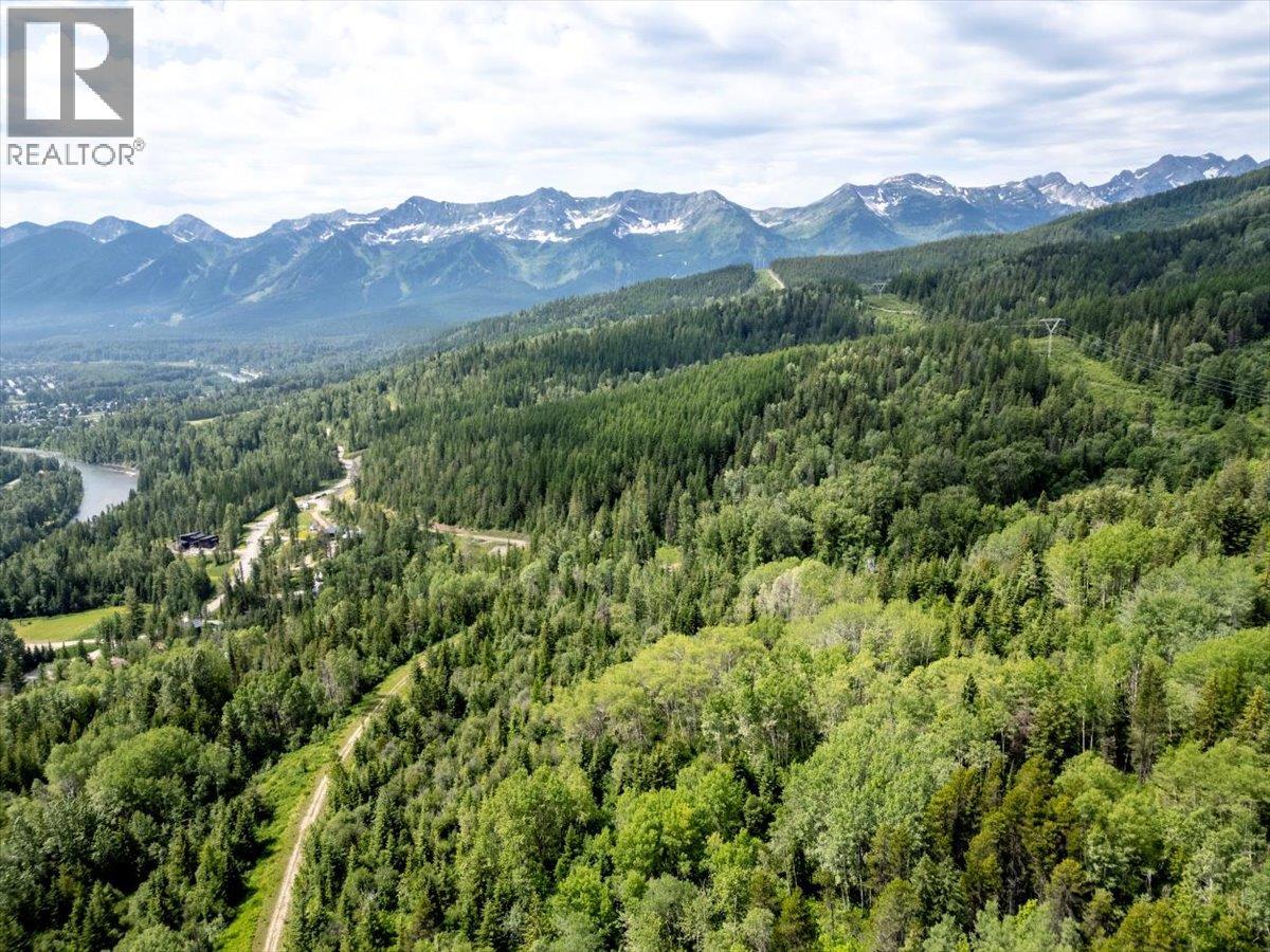 126 Burma Road, Fernie, British Columbia  V0B 1M0 - Photo 14 - 10355186