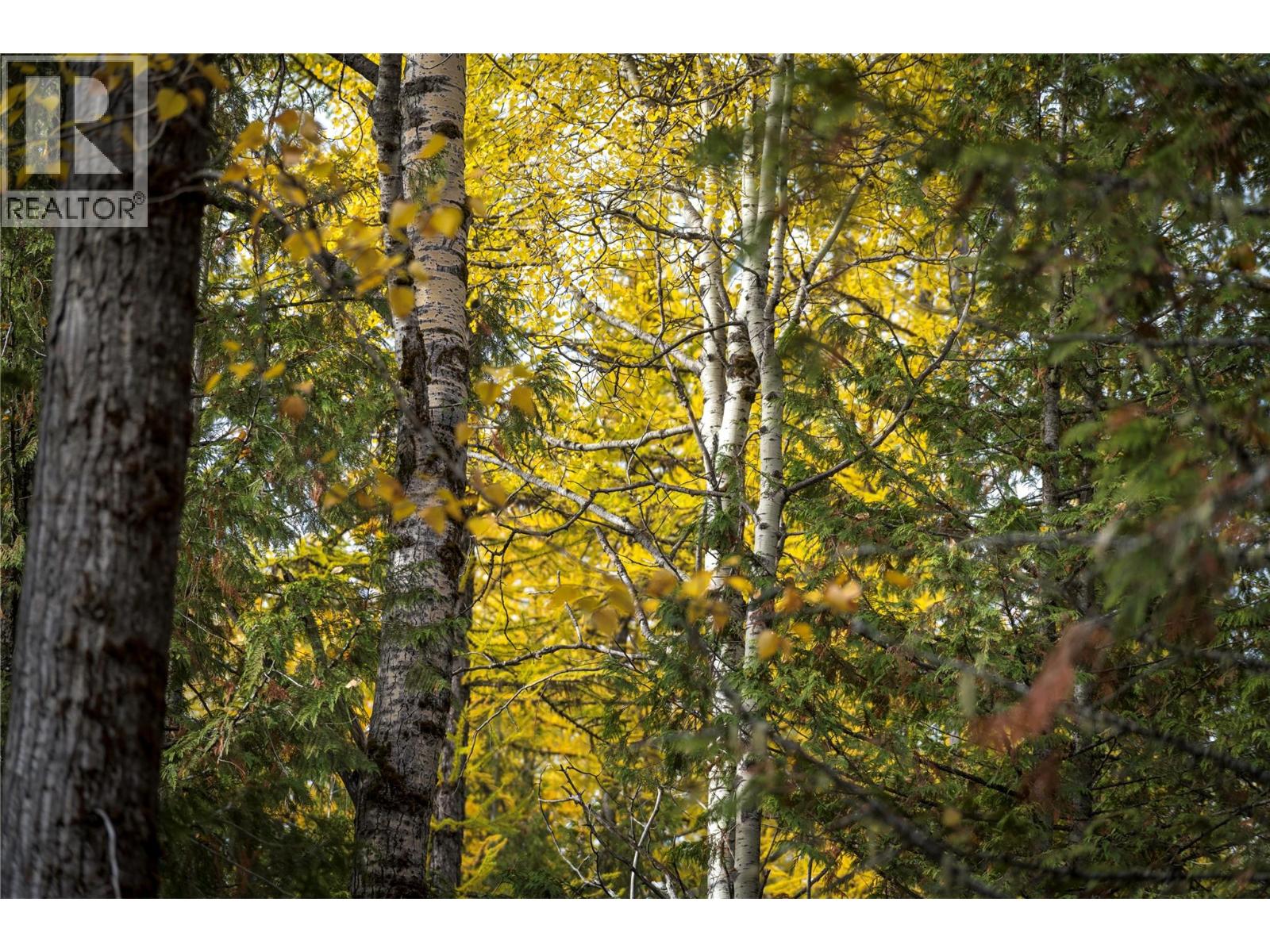 126 Burma Road, Fernie, British Columbia  V0B 1M0 - Photo 19 - 10355186