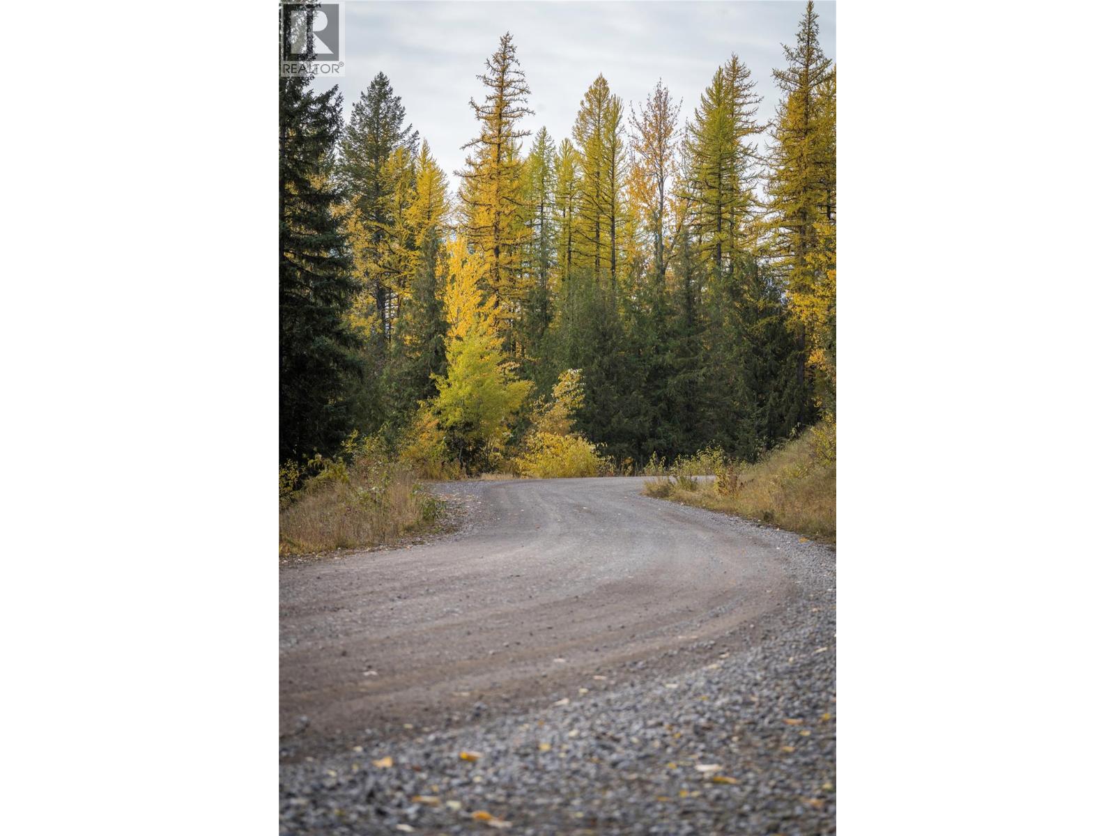 126 Burma Road, Fernie, British Columbia  V0B 1M0 - Photo 18 - 10355186