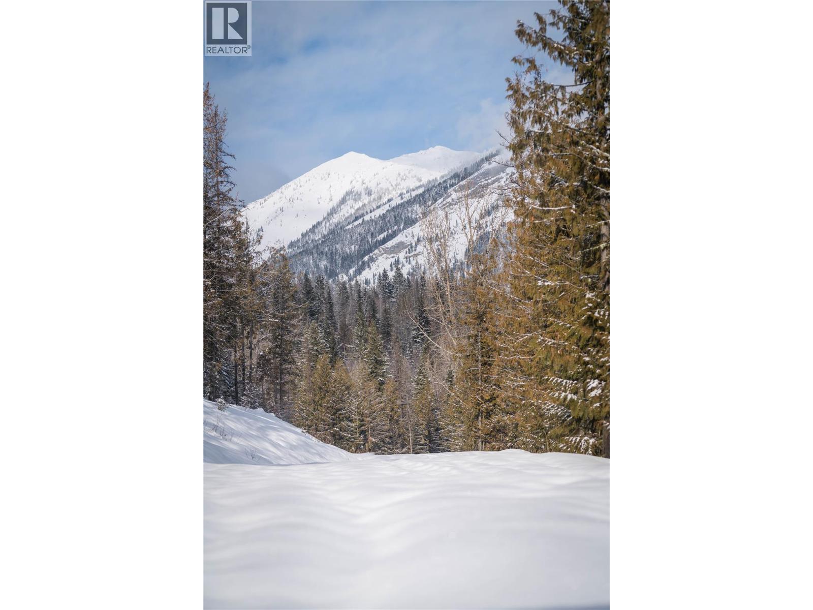 126 Burma Road, Fernie, British Columbia  V0B 1M0 - Photo 31 - 10355186