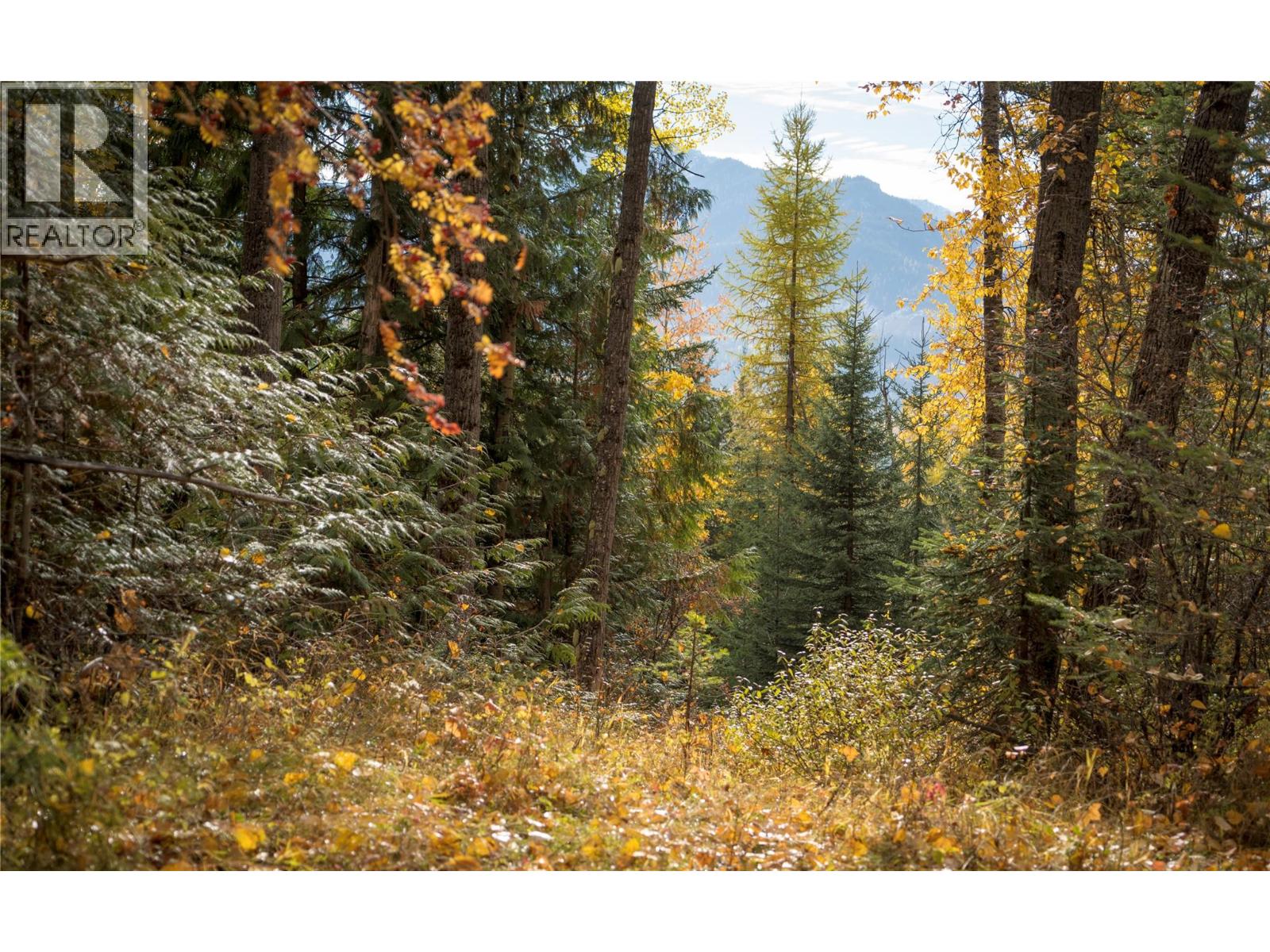 126 Burma Road, Fernie, British Columbia  V0B 1M0 - Photo 36 - 10355186