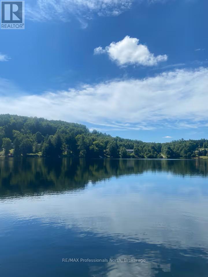 1099 Summer Lane, Minden Hills, Ontario  K0M 2K0 - Photo 43 - X12938388
