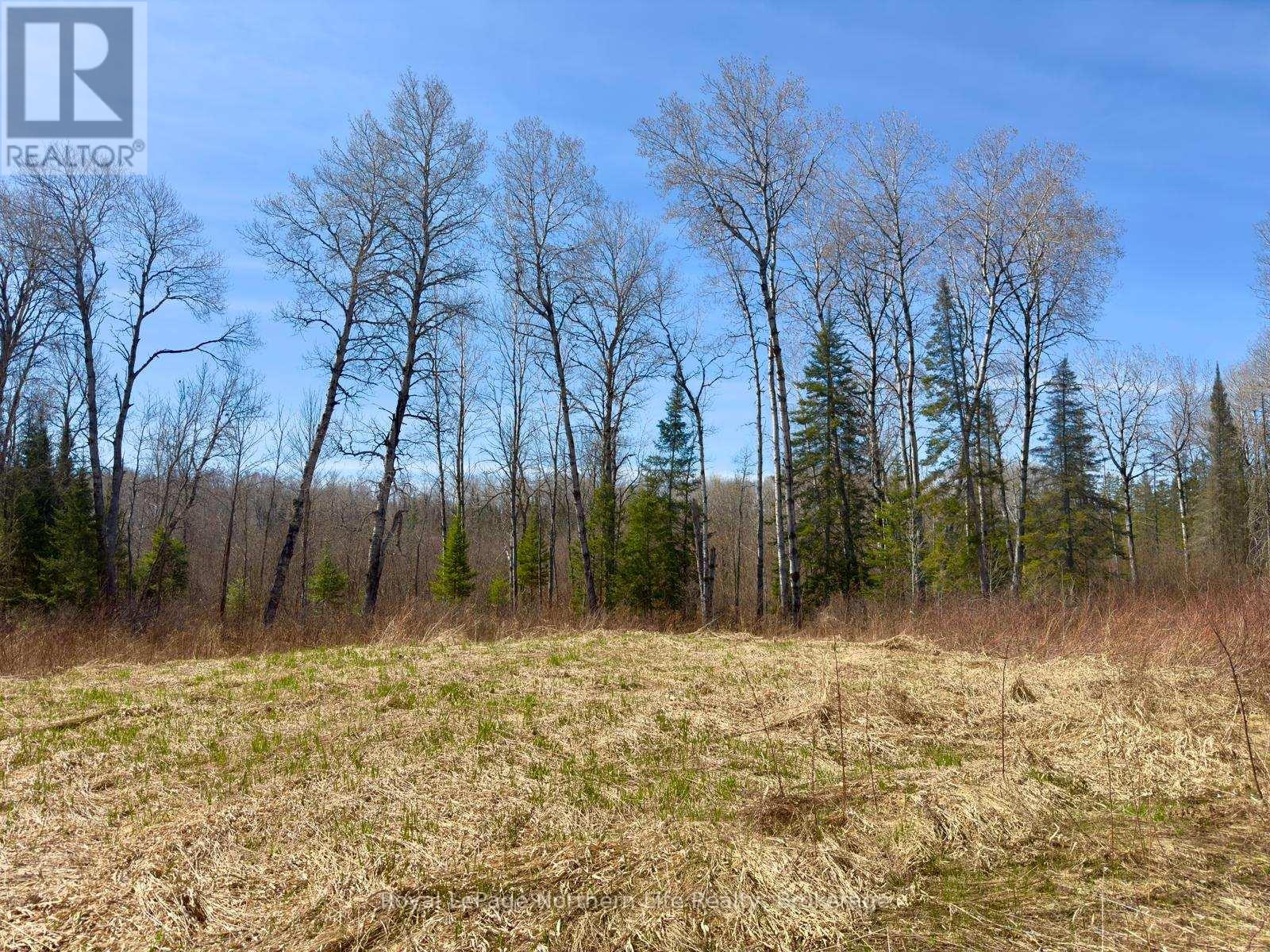 461 Alderdale Road, Chisholm, Ontario  P0H 1B0 - Photo 10 - X13048690