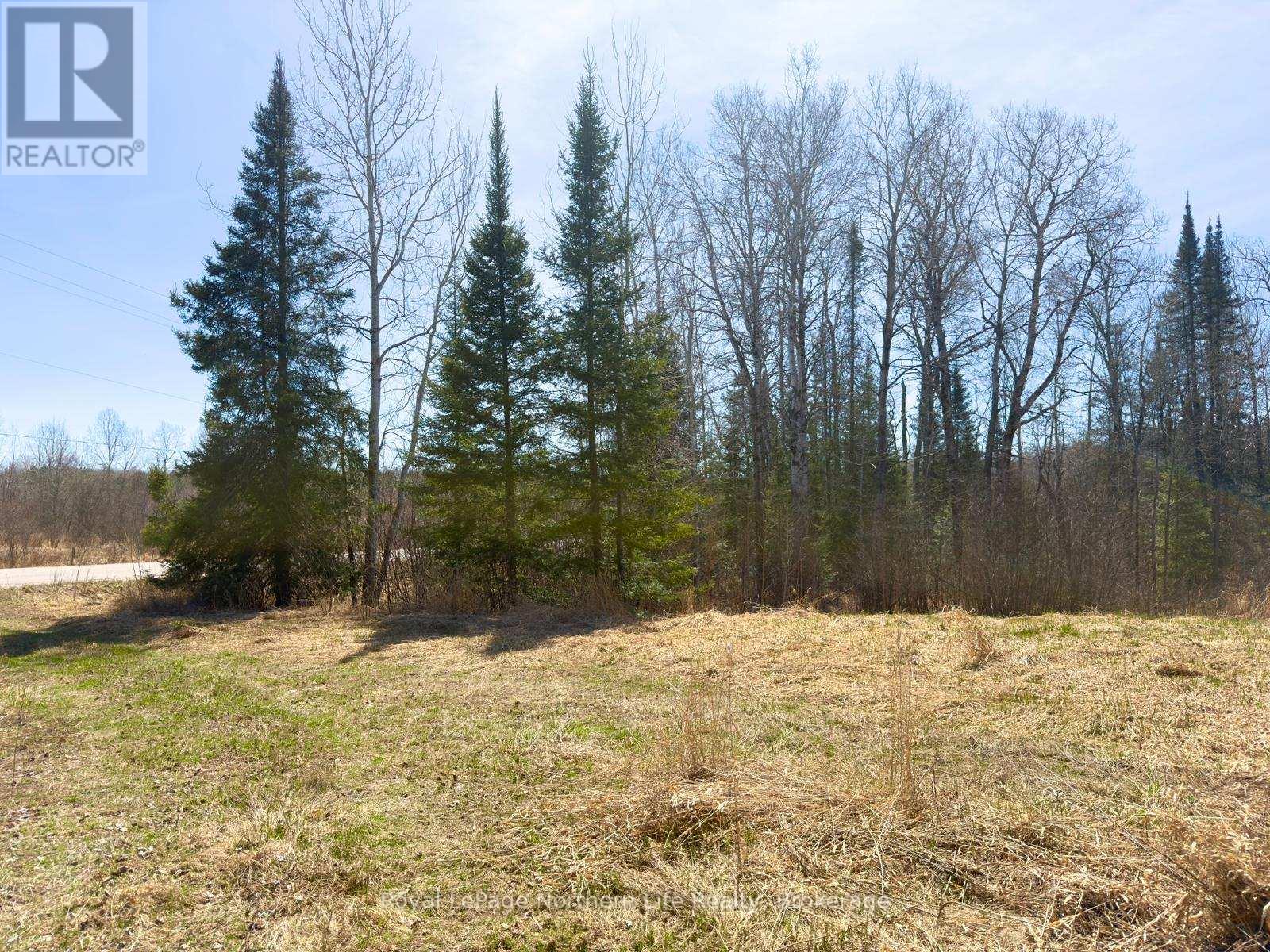 461 Alderdale Road, Chisholm, Ontario  P0H 1B0 - Photo 11 - X13048690