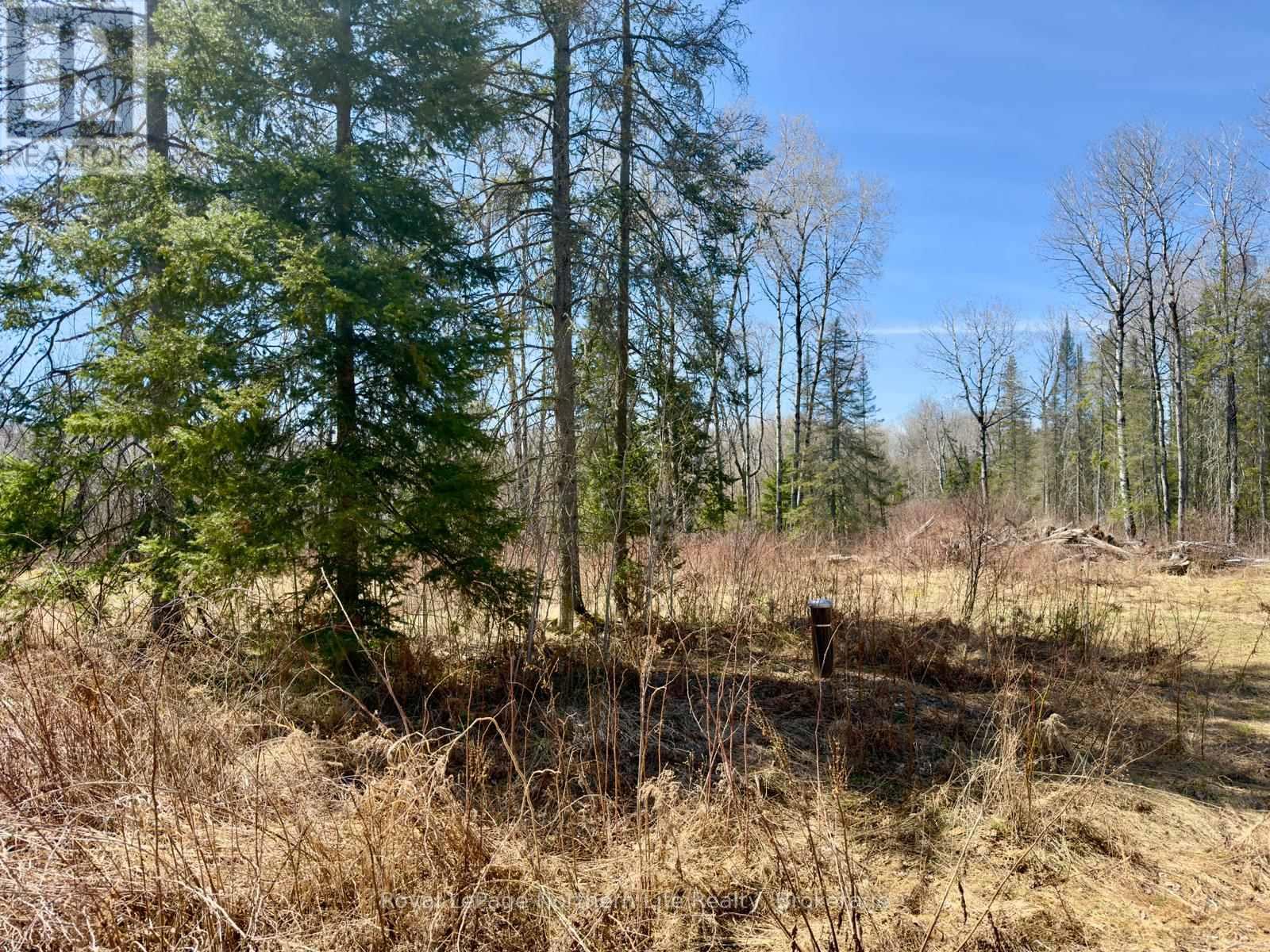 461 Alderdale Road, Chisholm, Ontario  P0H 1B0 - Photo 12 - X13048690