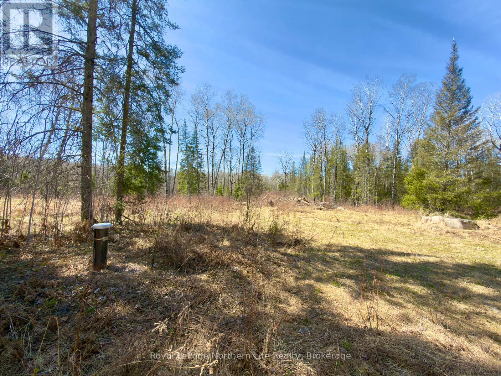 461 Alderdale Road, Chisholm, Ontario  P0H 1B0 - Photo 5 - X13048690