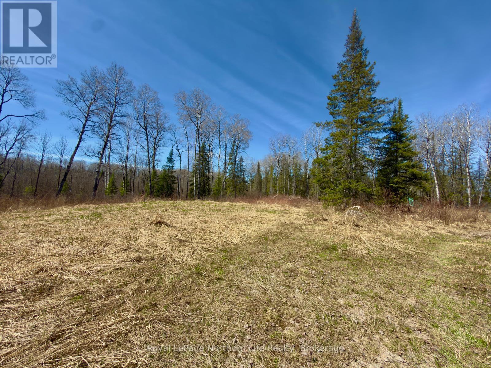 461 Alderdale Road, Chisholm, Ontario  P0H 1B0 - Photo 6 - X13048690