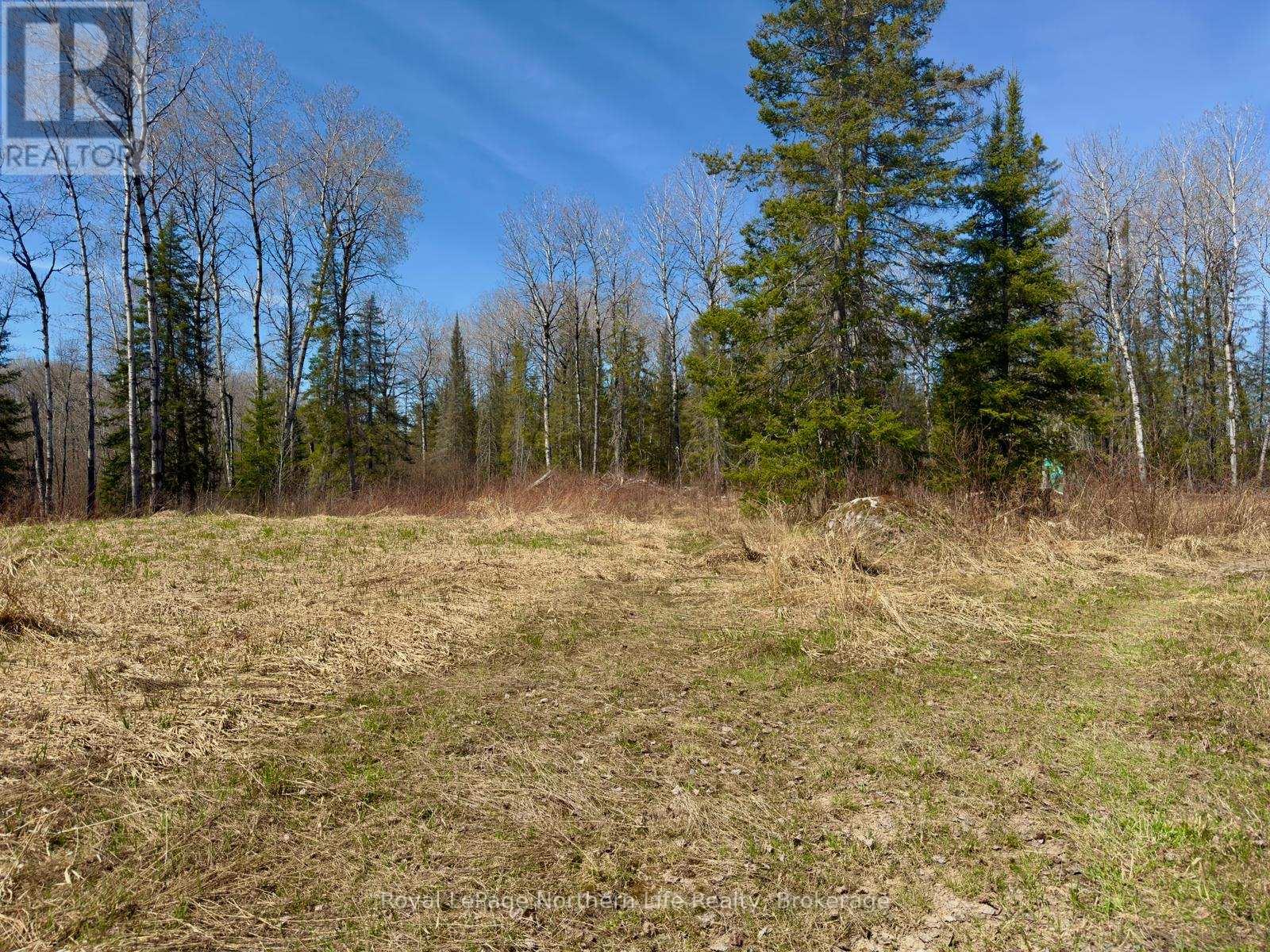 461 Alderdale Road, Chisholm, Ontario  P0H 1B0 - Photo 7 - X13048690