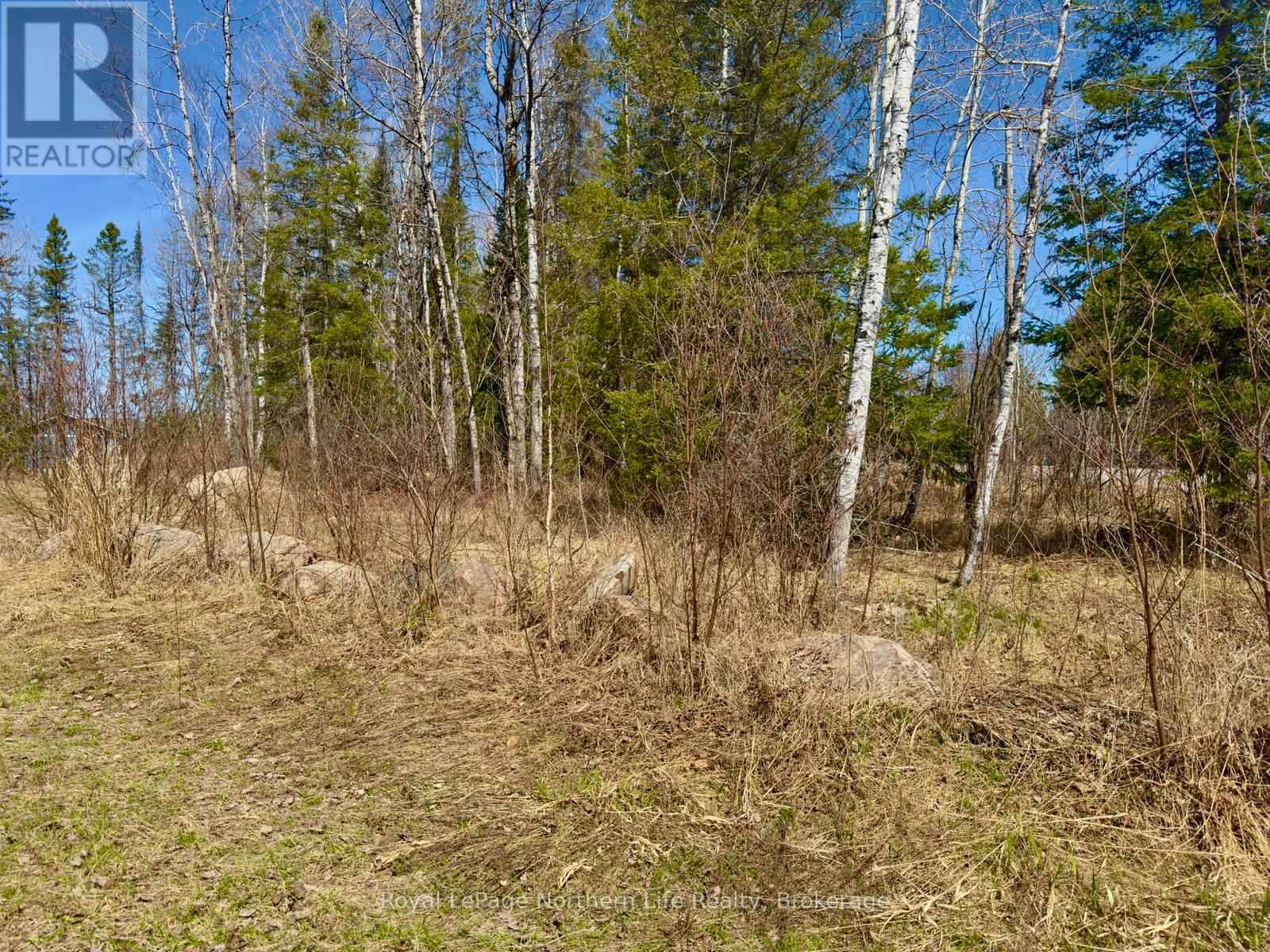 461 Alderdale Road, Chisholm, Ontario  P0H 1B0 - Photo 8 - X13048690