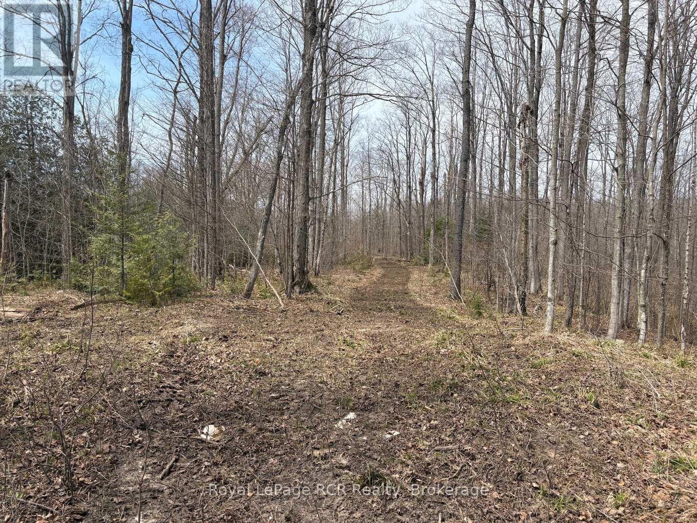 Lot 53/54 West Back Line, Chatsworth, Ontario  N0C 1H0 - Photo 10 - X13048708