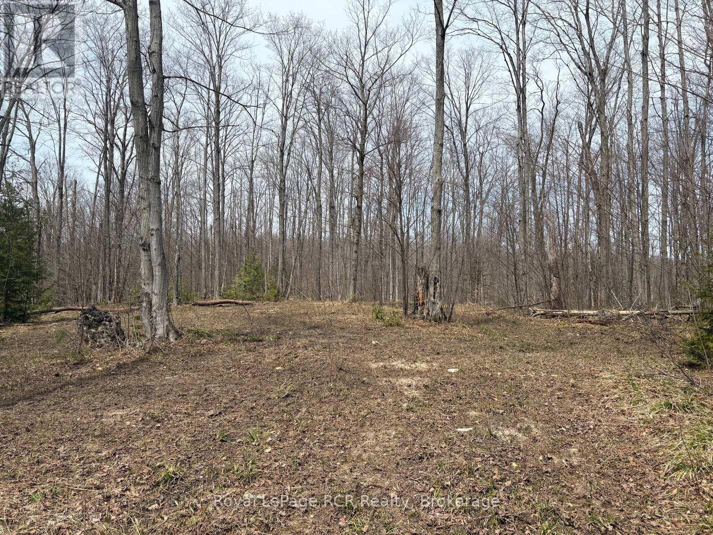 Lot 53/54 West Back Line, Chatsworth, Ontario  N0C 1H0 - Photo 11 - X13048708