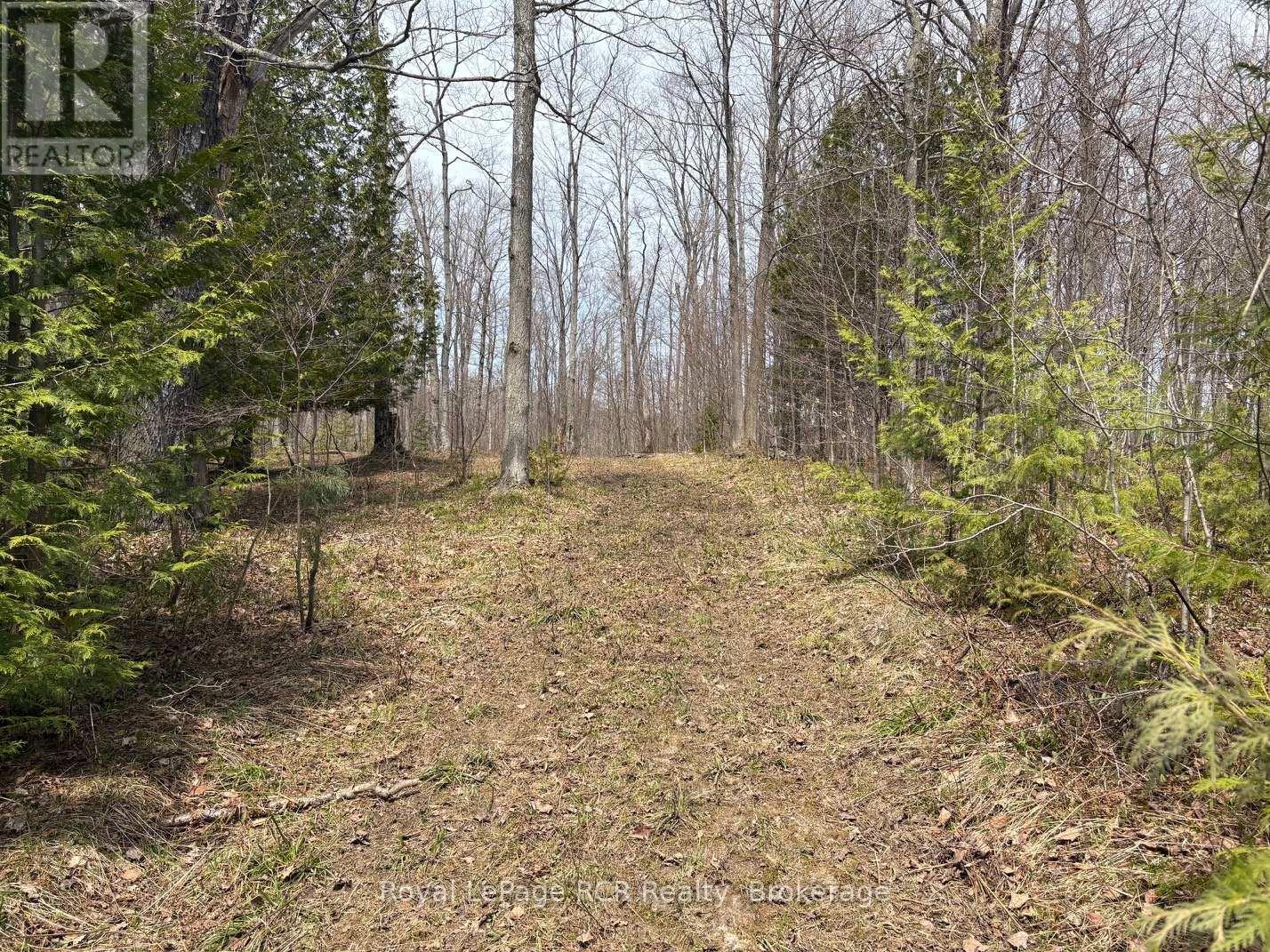 Lot 53/54 West Back Line, Chatsworth, Ontario  N0C 1H0 - Photo 12 - X13048708