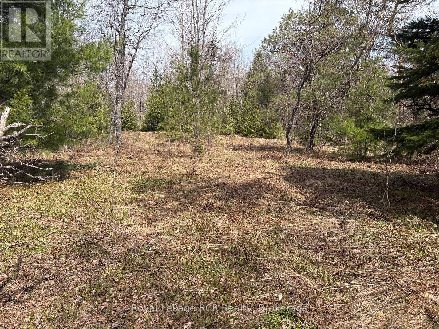 Lot 53/54 West Back Line, Chatsworth, Ontario  N0C 1H0 - Photo 13 - X13048708