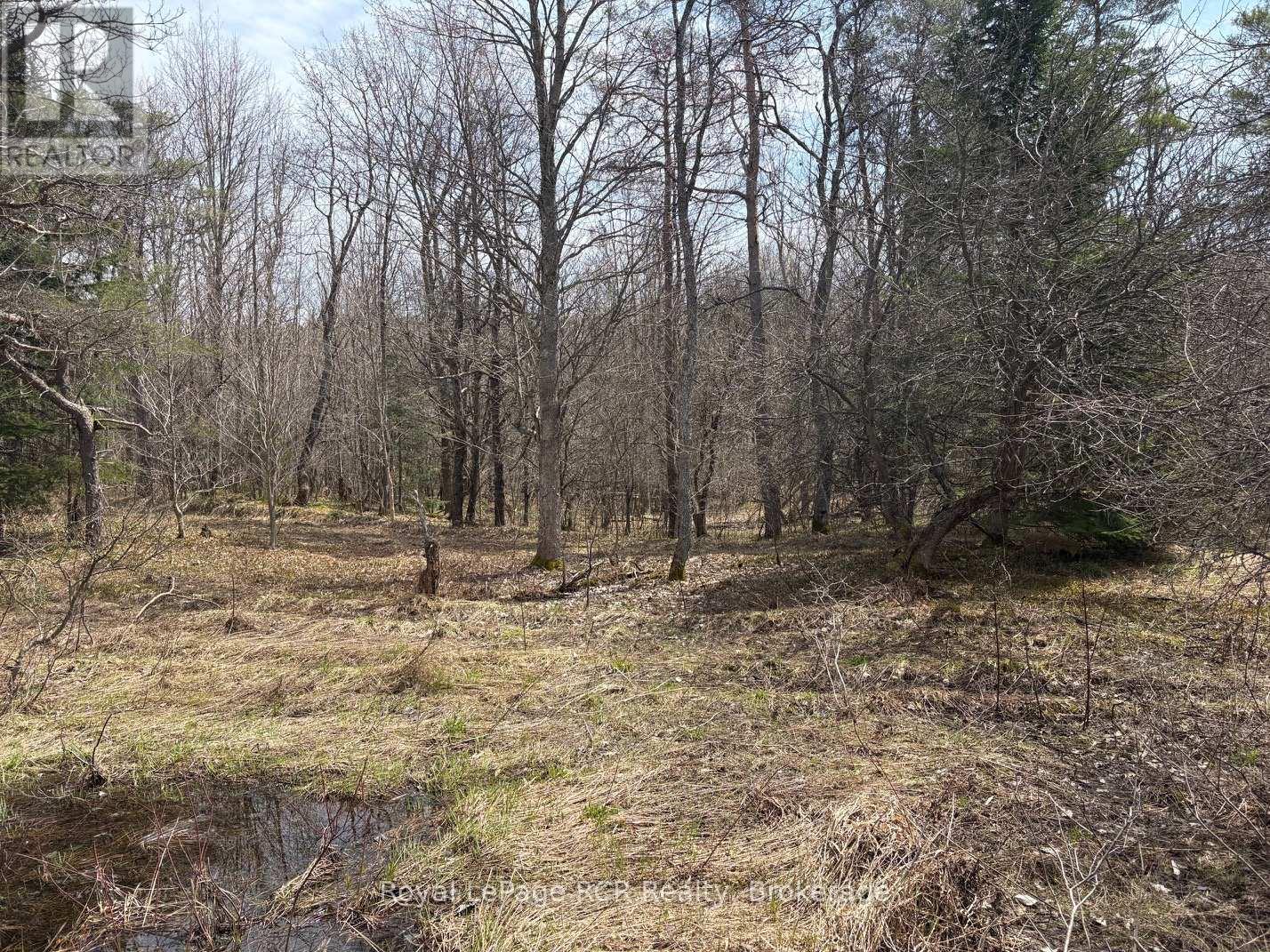 Lot 53/54 West Back Line, Chatsworth, Ontario  N0C 1H0 - Photo 15 - X13048708