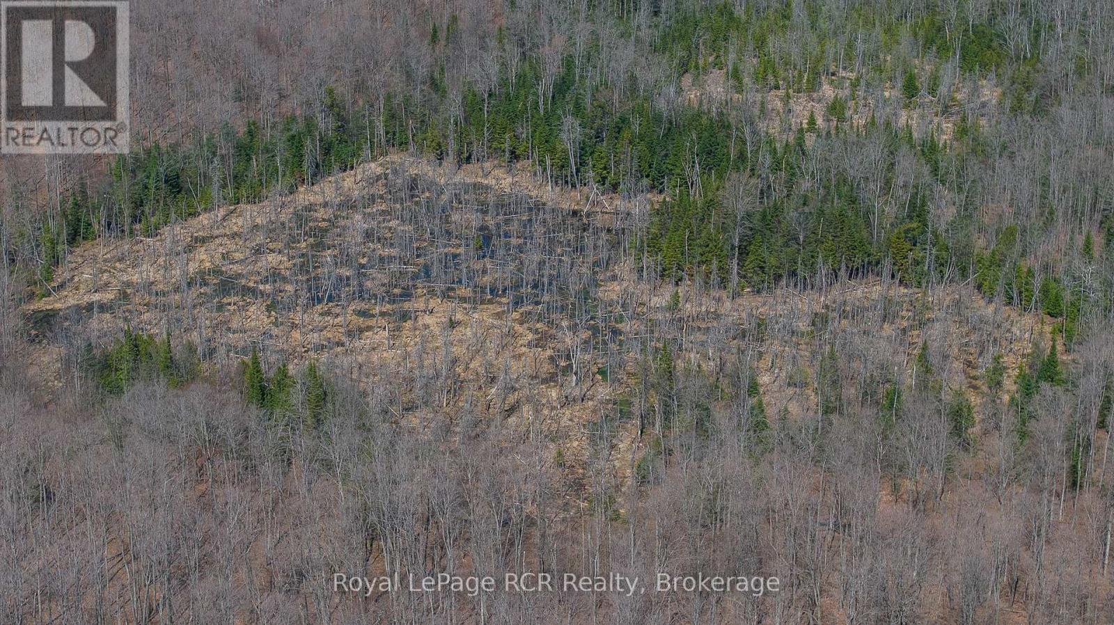 Lot 53/54 West Back Line, Chatsworth, Ontario  N0C 1H0 - Photo 16 - X13048708