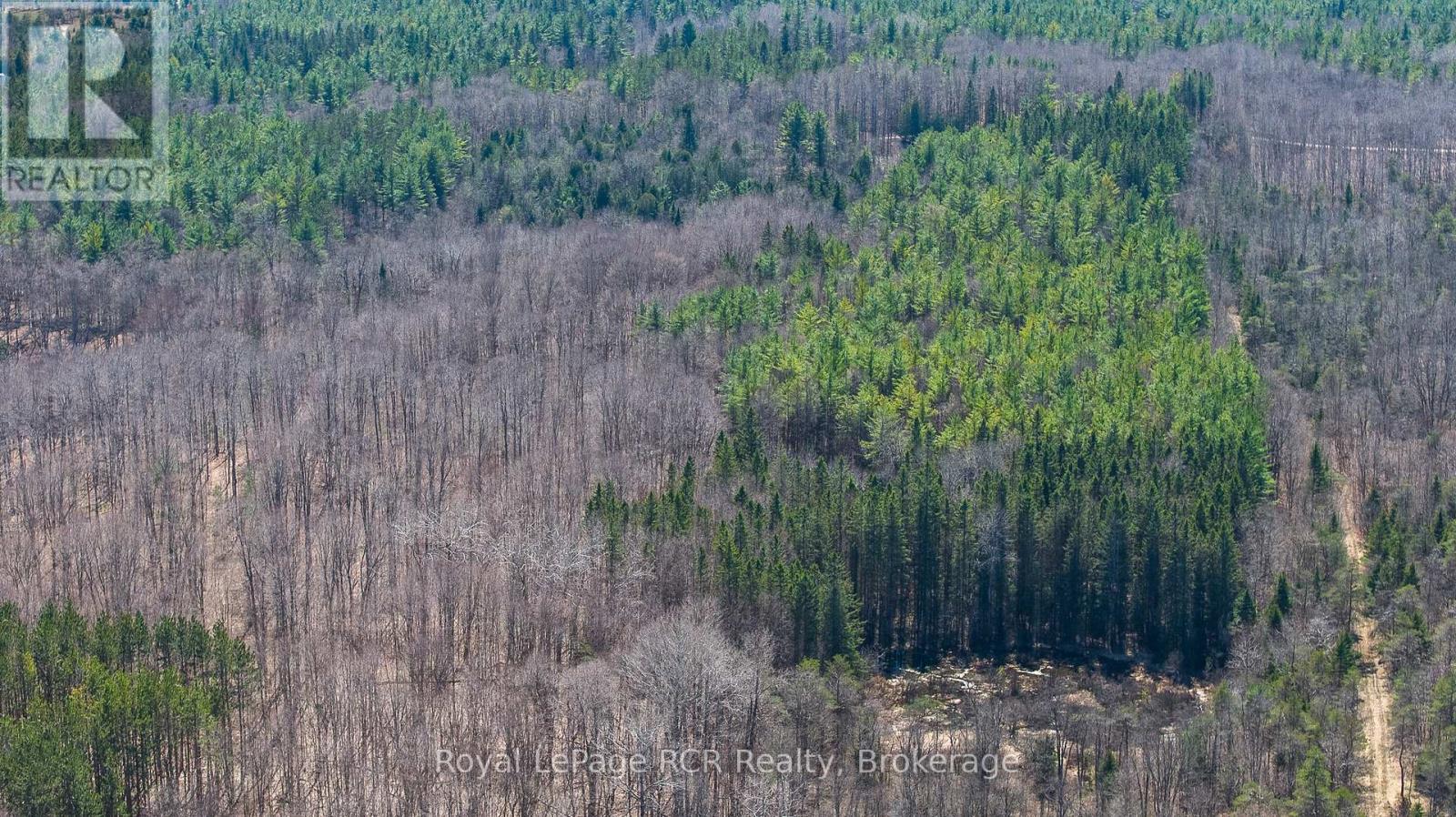 Lot 53/54 West Back Line, Chatsworth, Ontario  N0C 1H0 - Photo 19 - X13048708